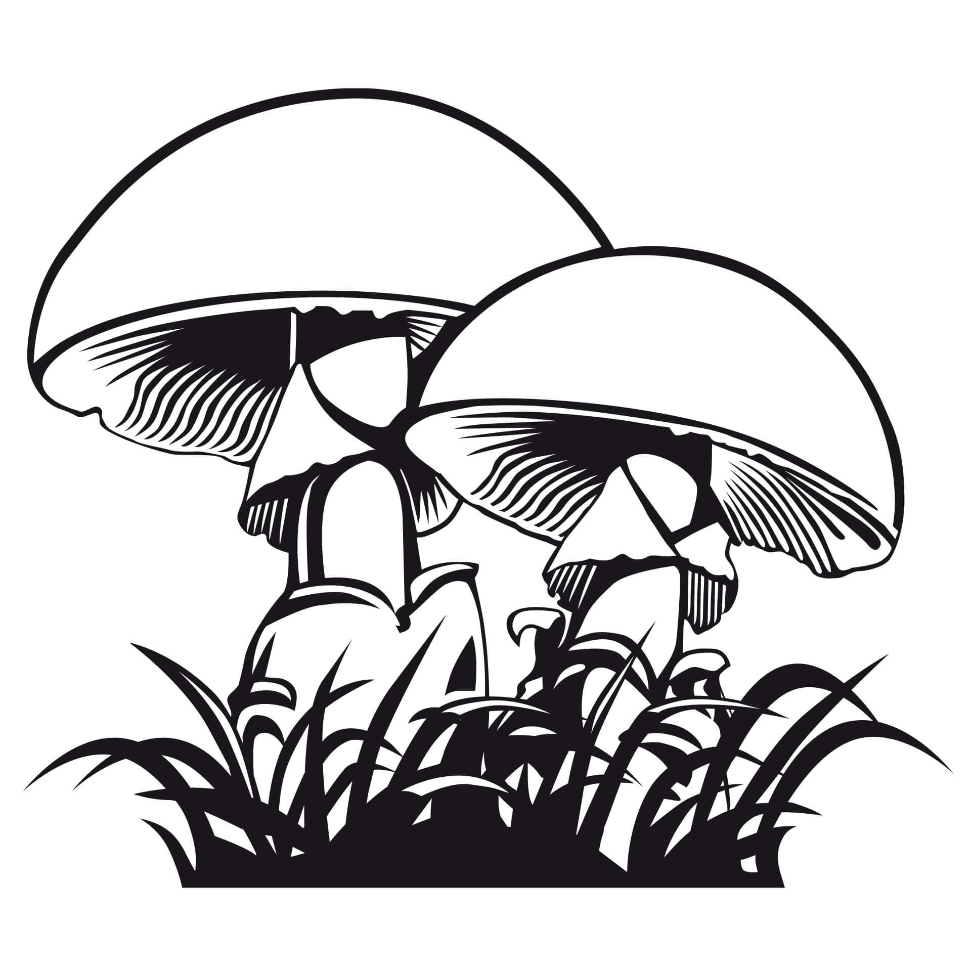 Muursticker Champignons