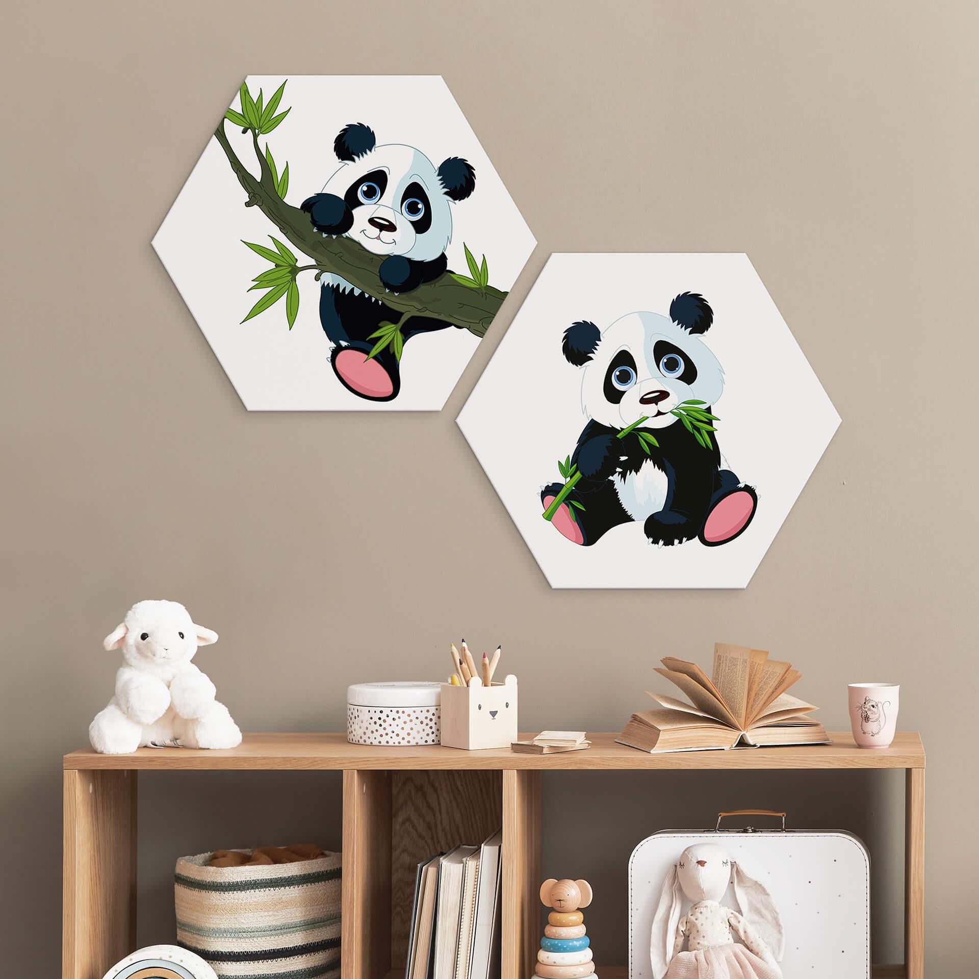 Hexagon Dibond Schattige Panda
