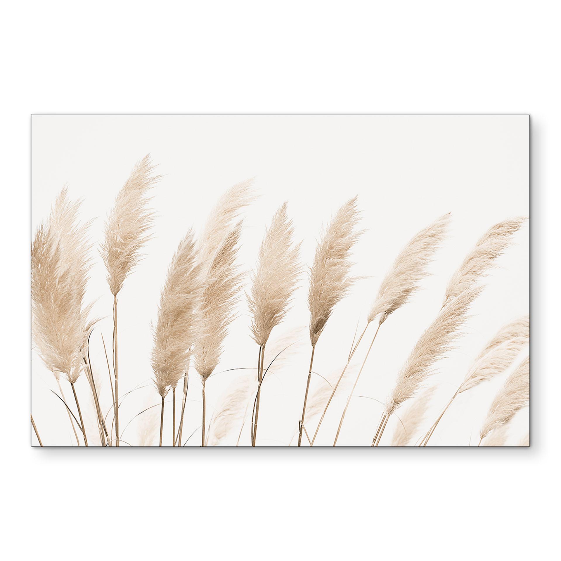 Wandbild Pampas - Sisi & Seb - Alu-Dibond