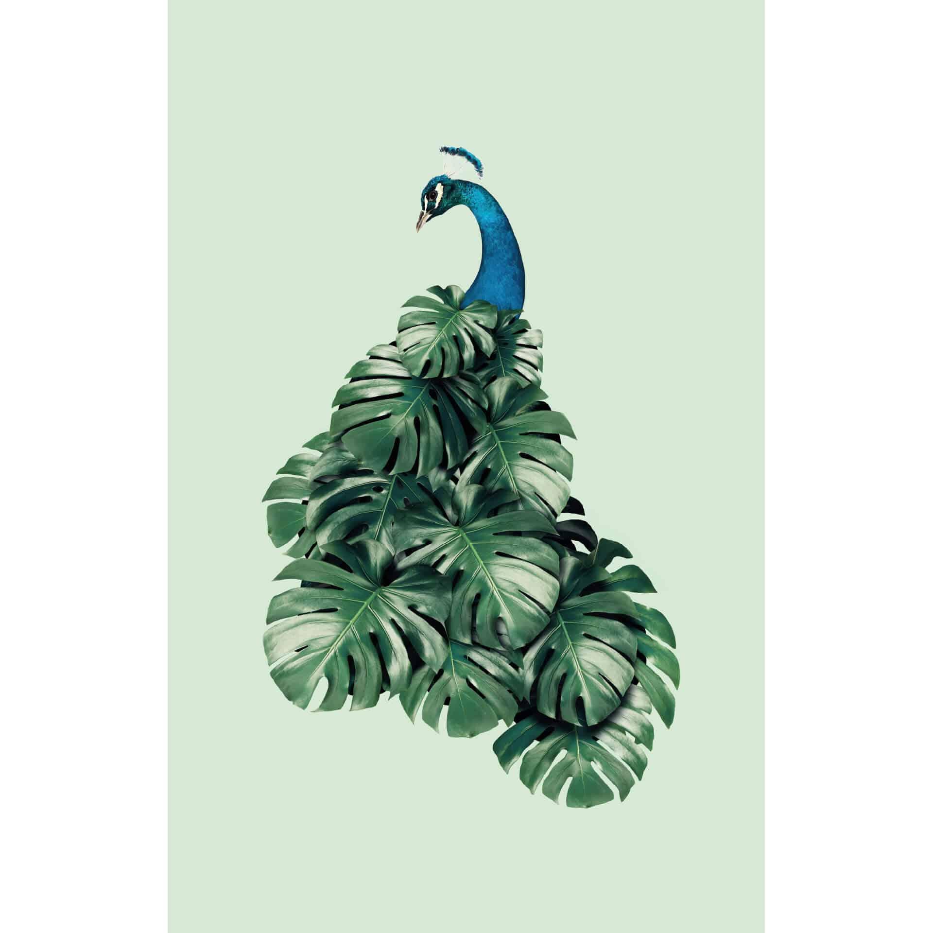 Fotobehang Loose - Monstera Bird