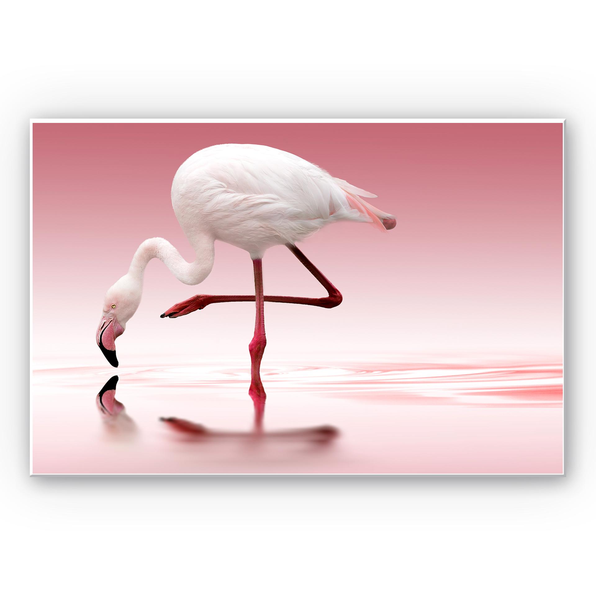 Tableau Formex - Reindl - Flament rose
