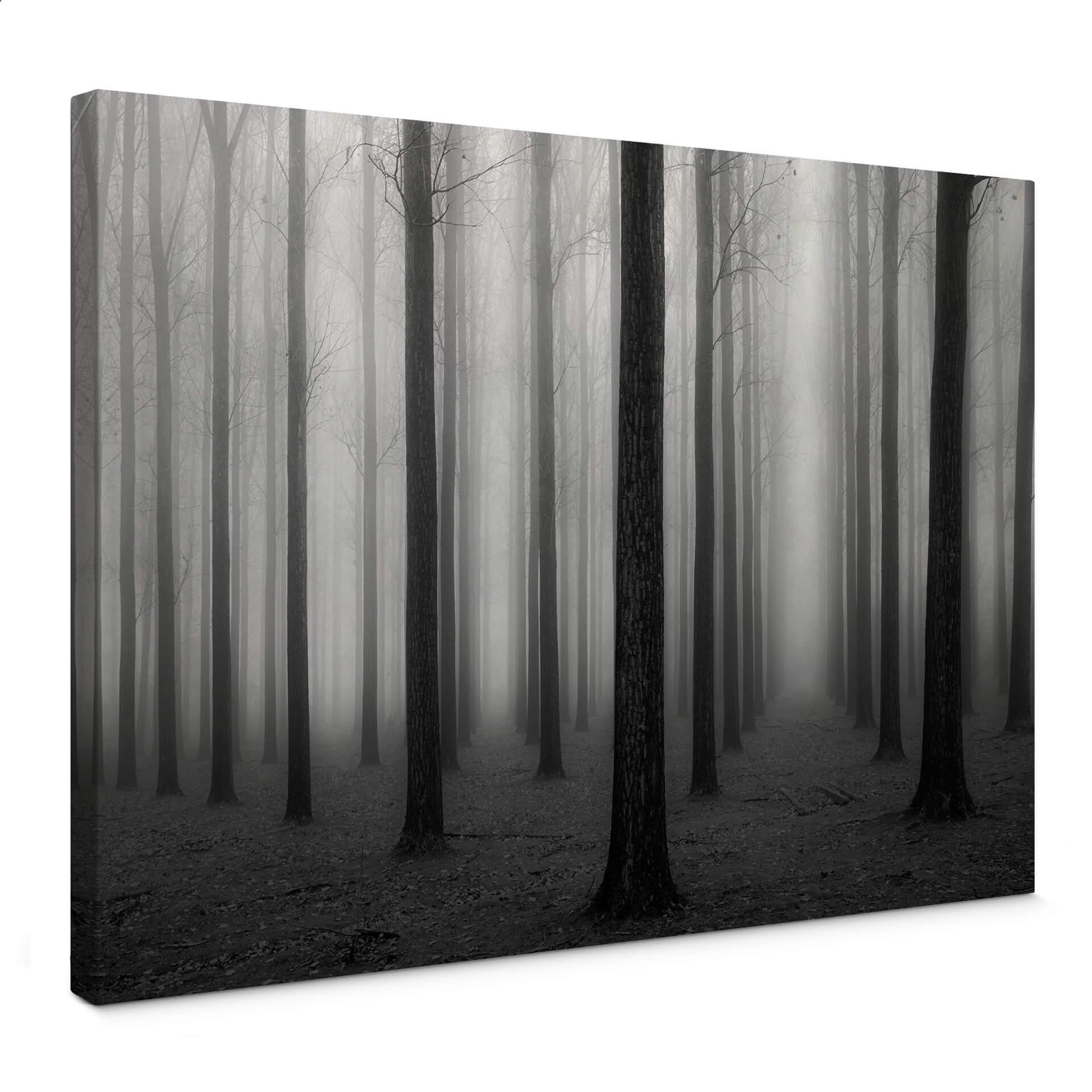 Lienzo Bongaerts - Niebla en el bosque