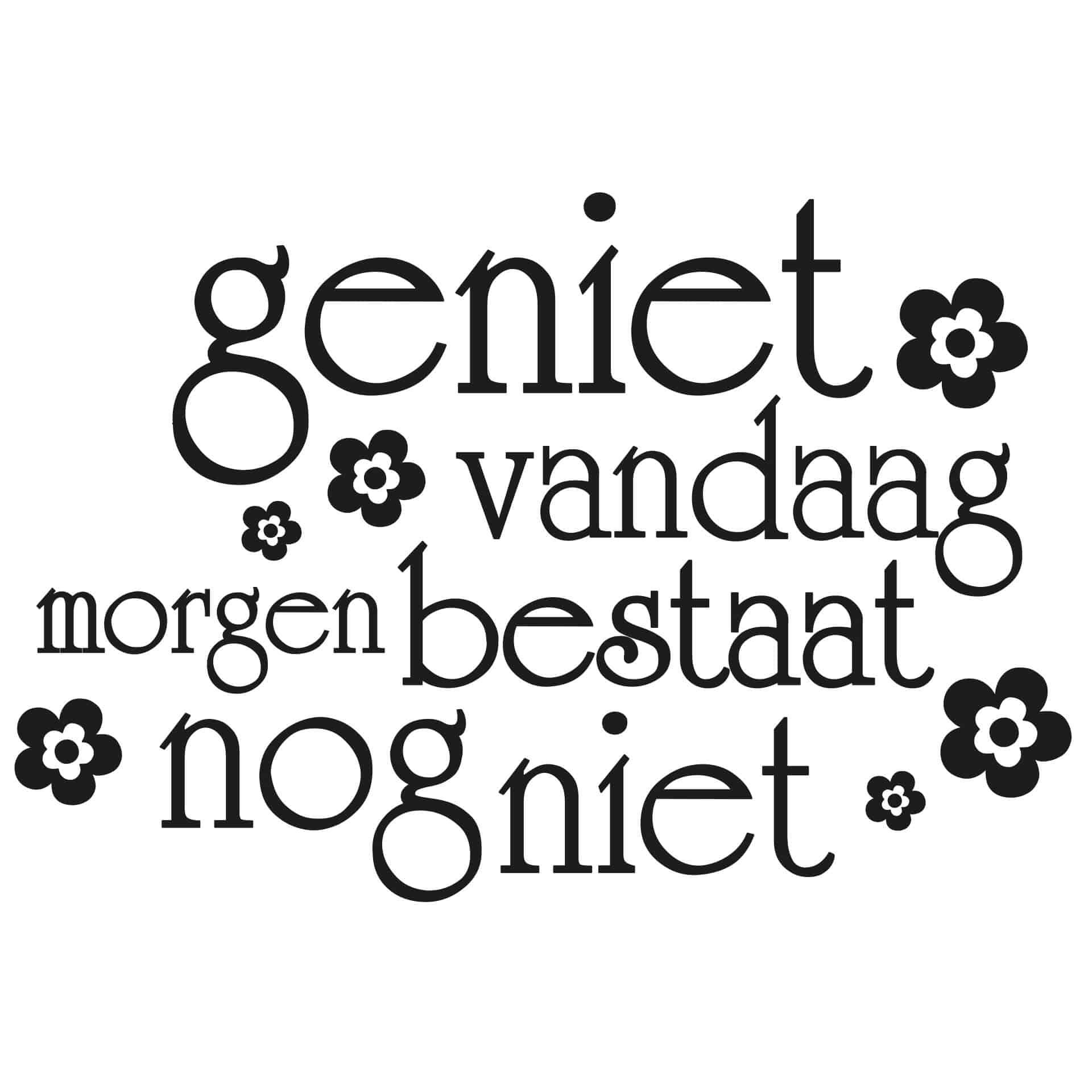 Wandtattoo Geniet vandaag
