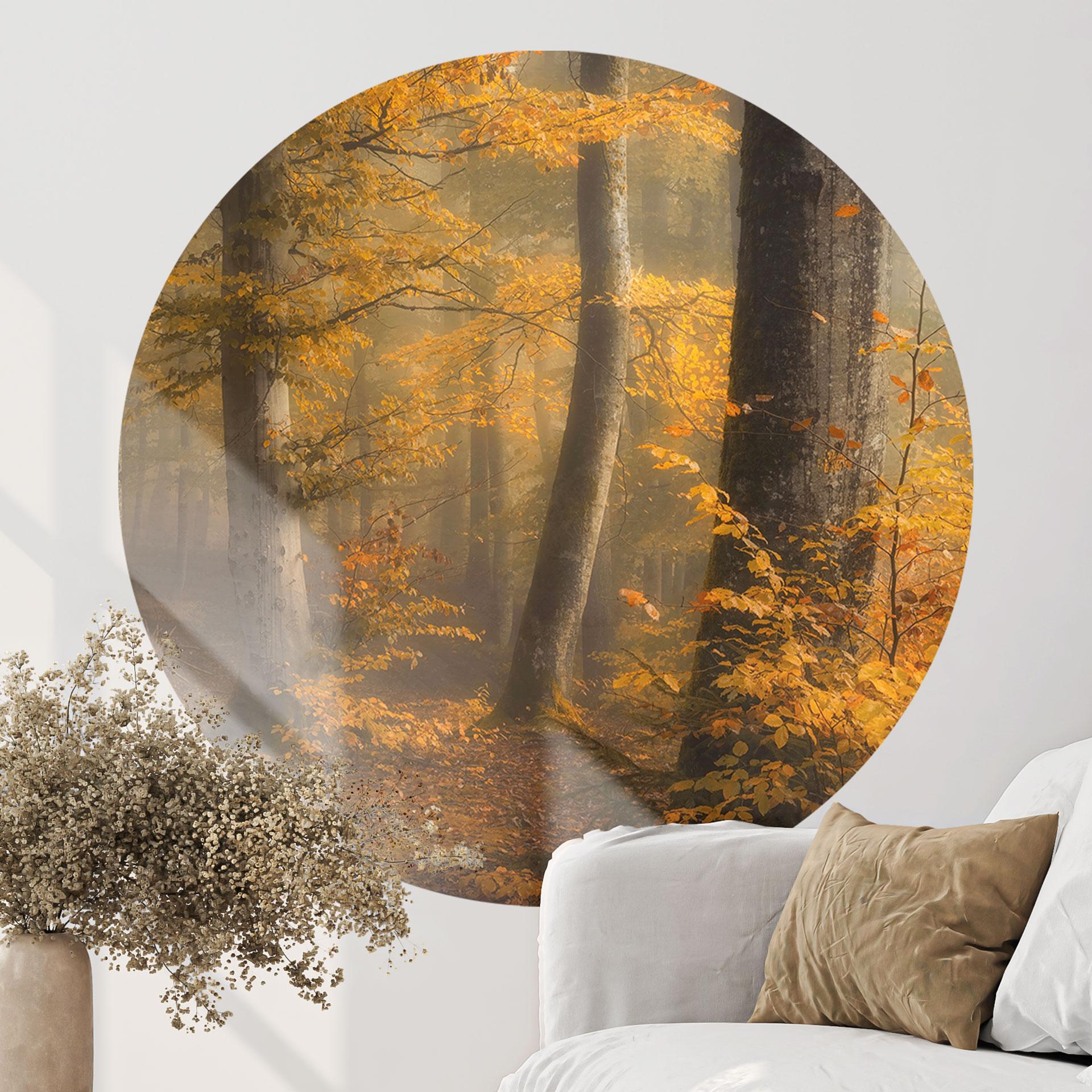 Wallsticker Gyldne blade i en tåget skov - Maier - Rund
