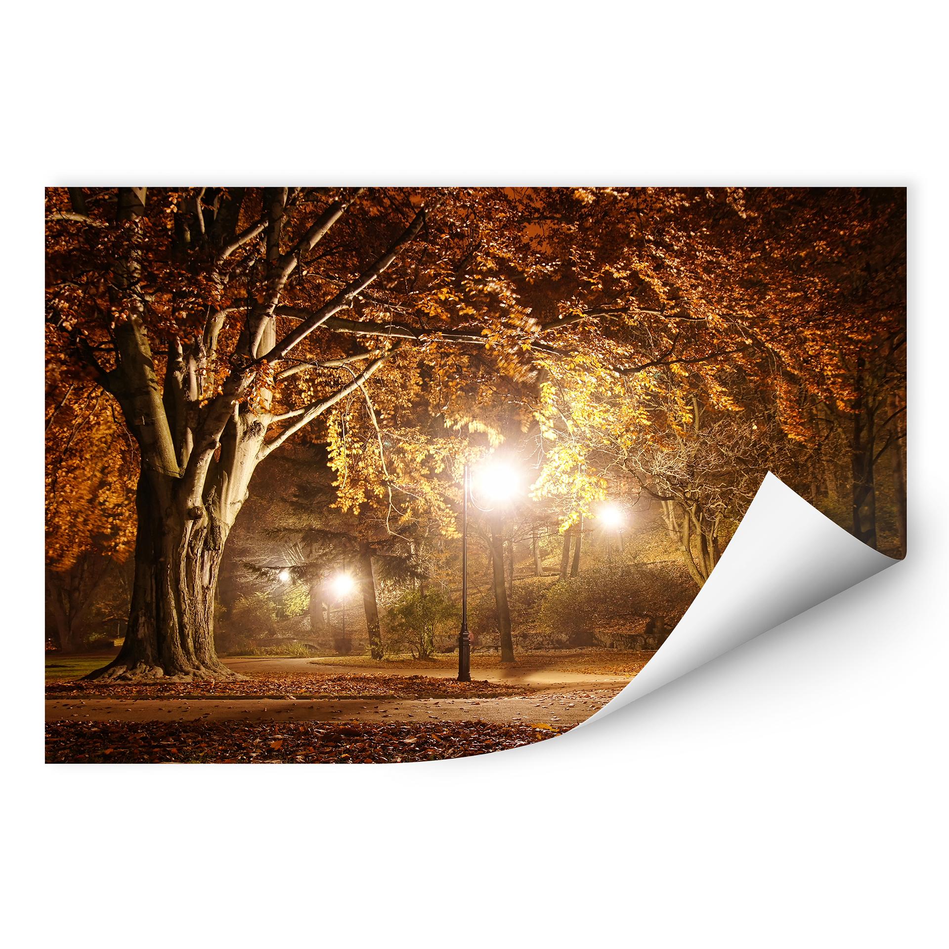 Zelfklevende Poster  - Autumn in the Park