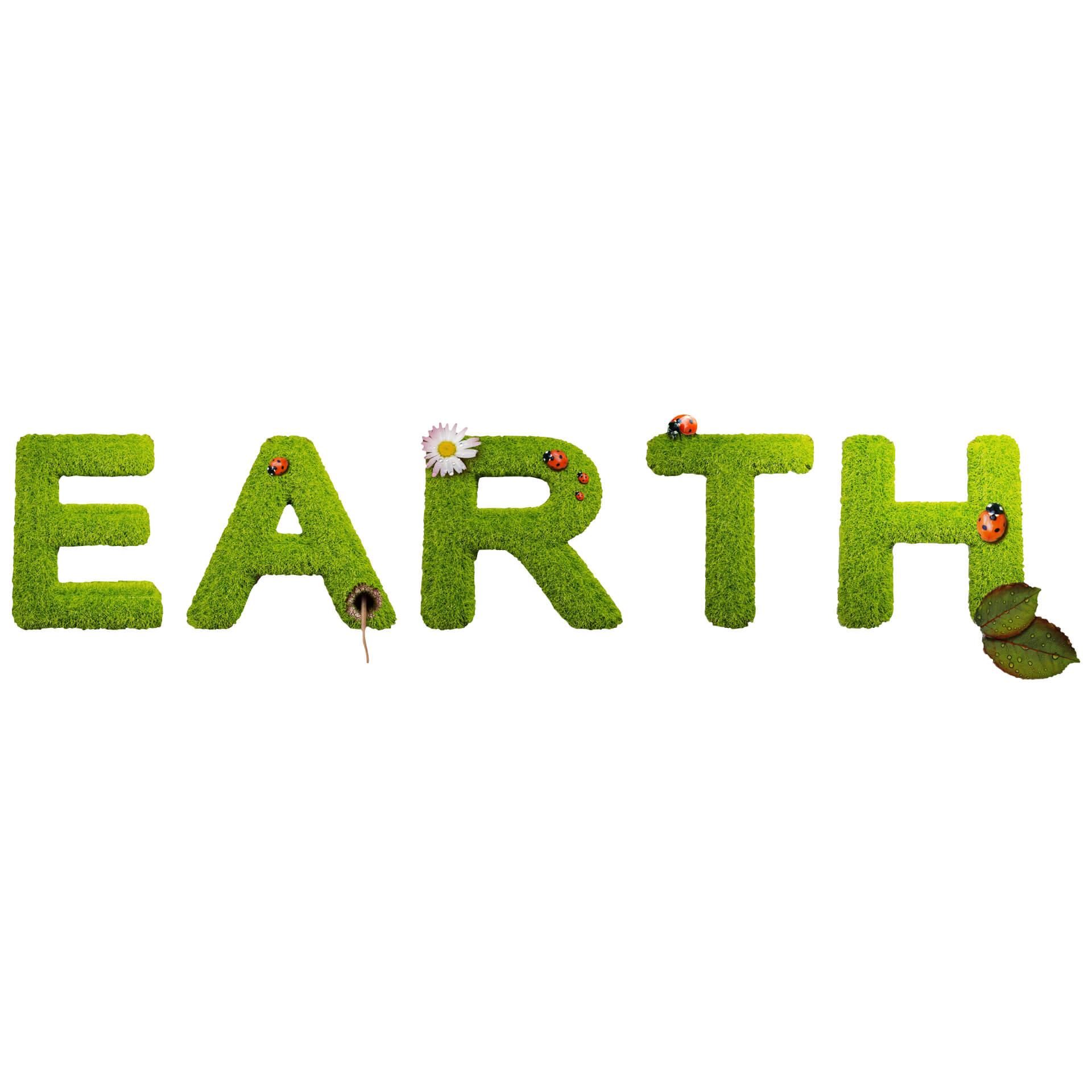 Wandtattoo Earth
