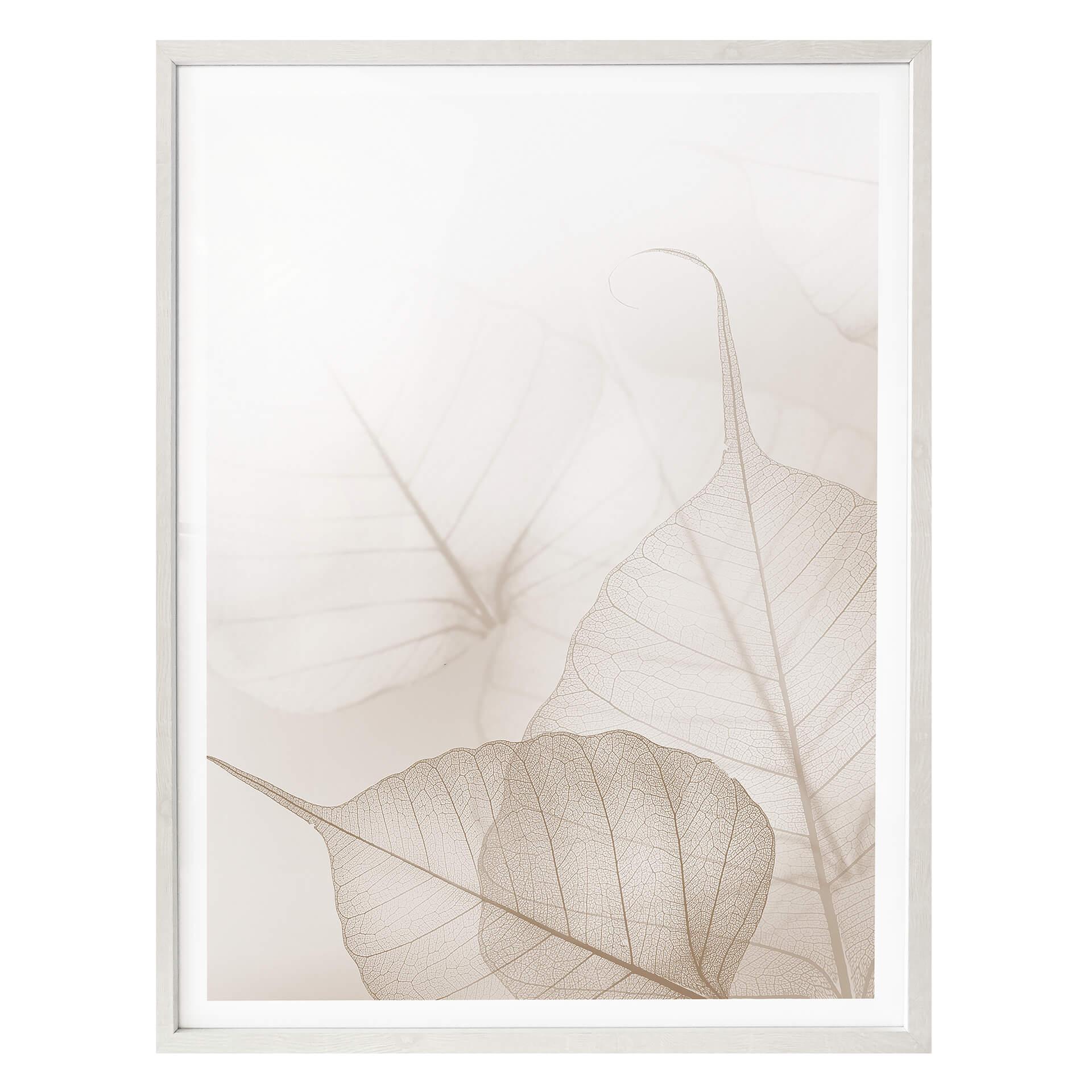 Plakat - Sarte blade