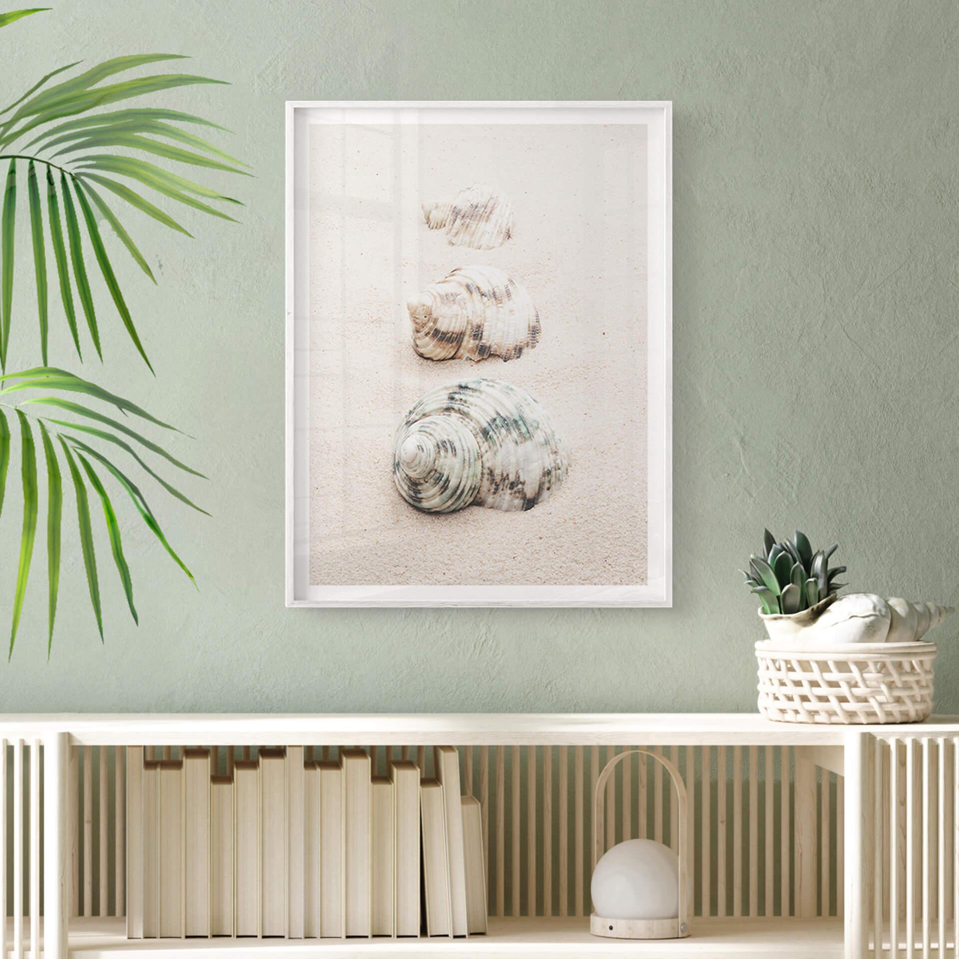 Poster 1X Studio - Shells on the Beach