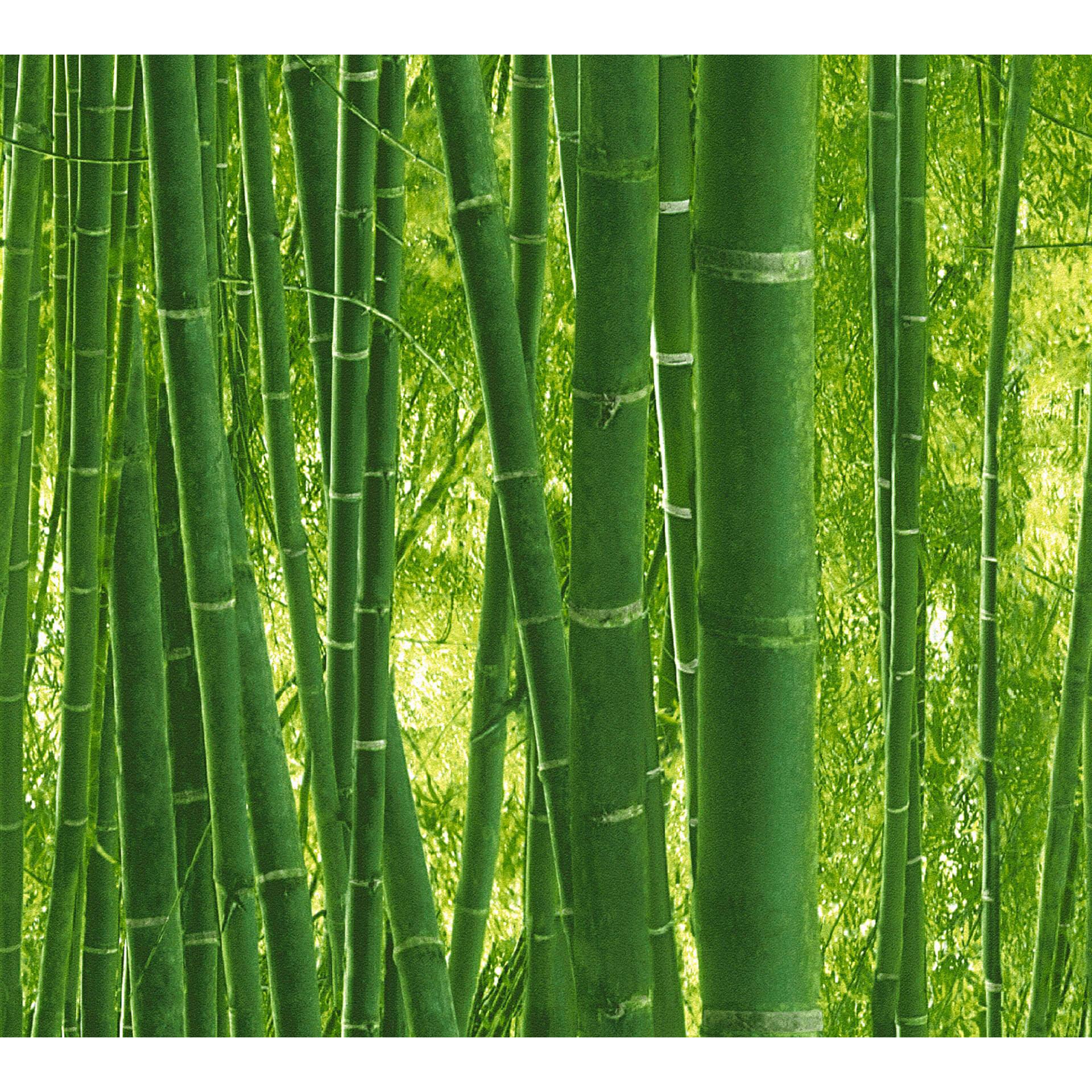 A.S. Création paper behang Authentic Walls groen