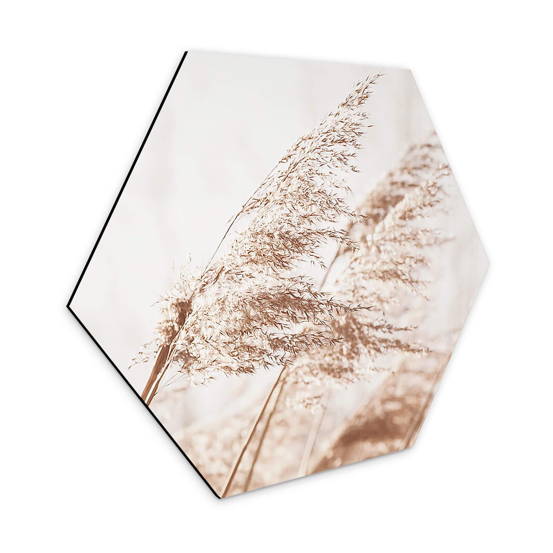 Hexagon Dibond Windy Grass