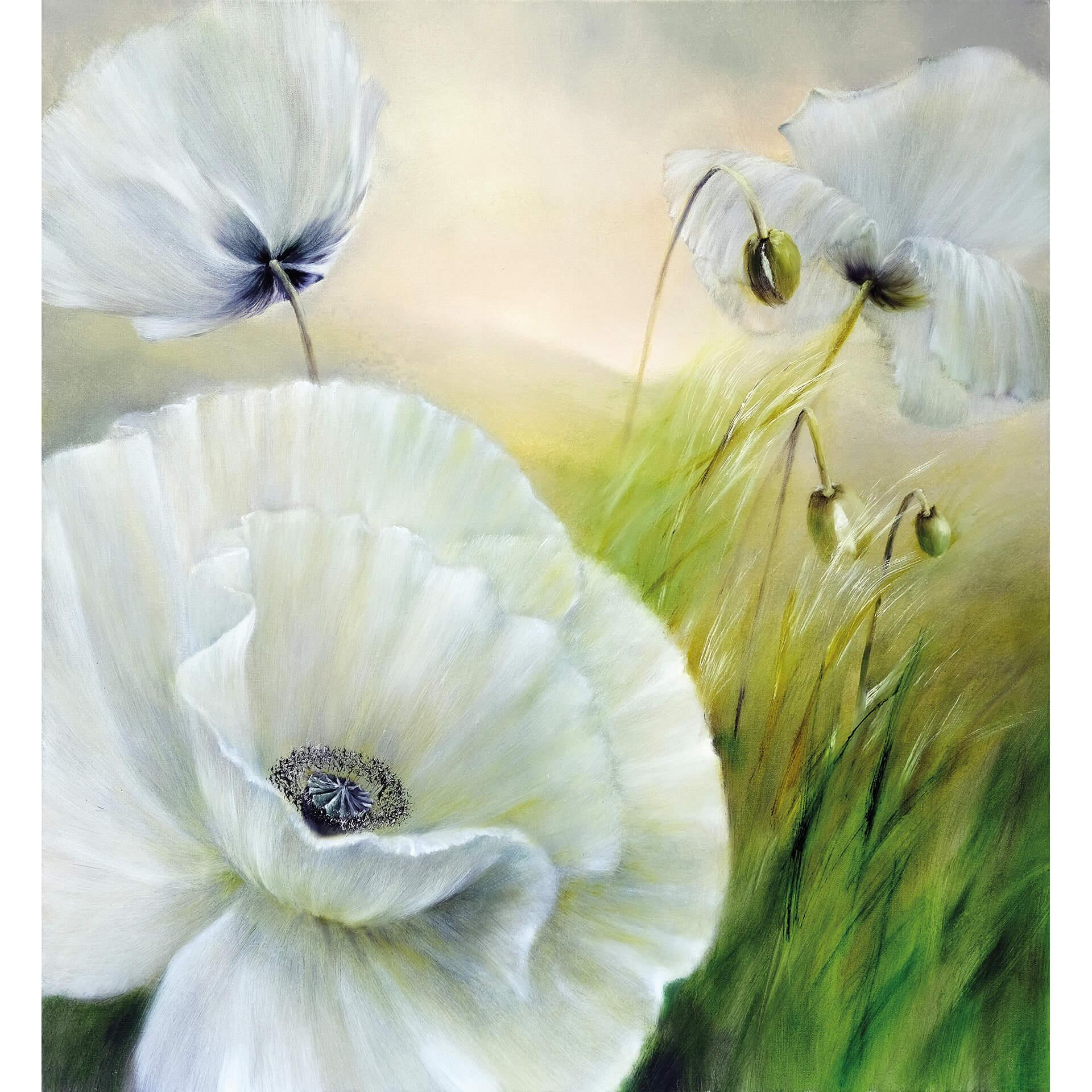 Fotobehang Schmucker - Witte Bloem