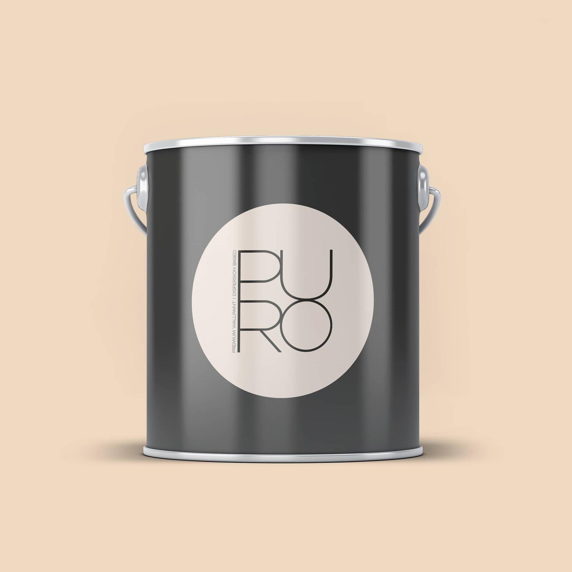 Premium vægmaling beige - PURO c9000 støvet orange