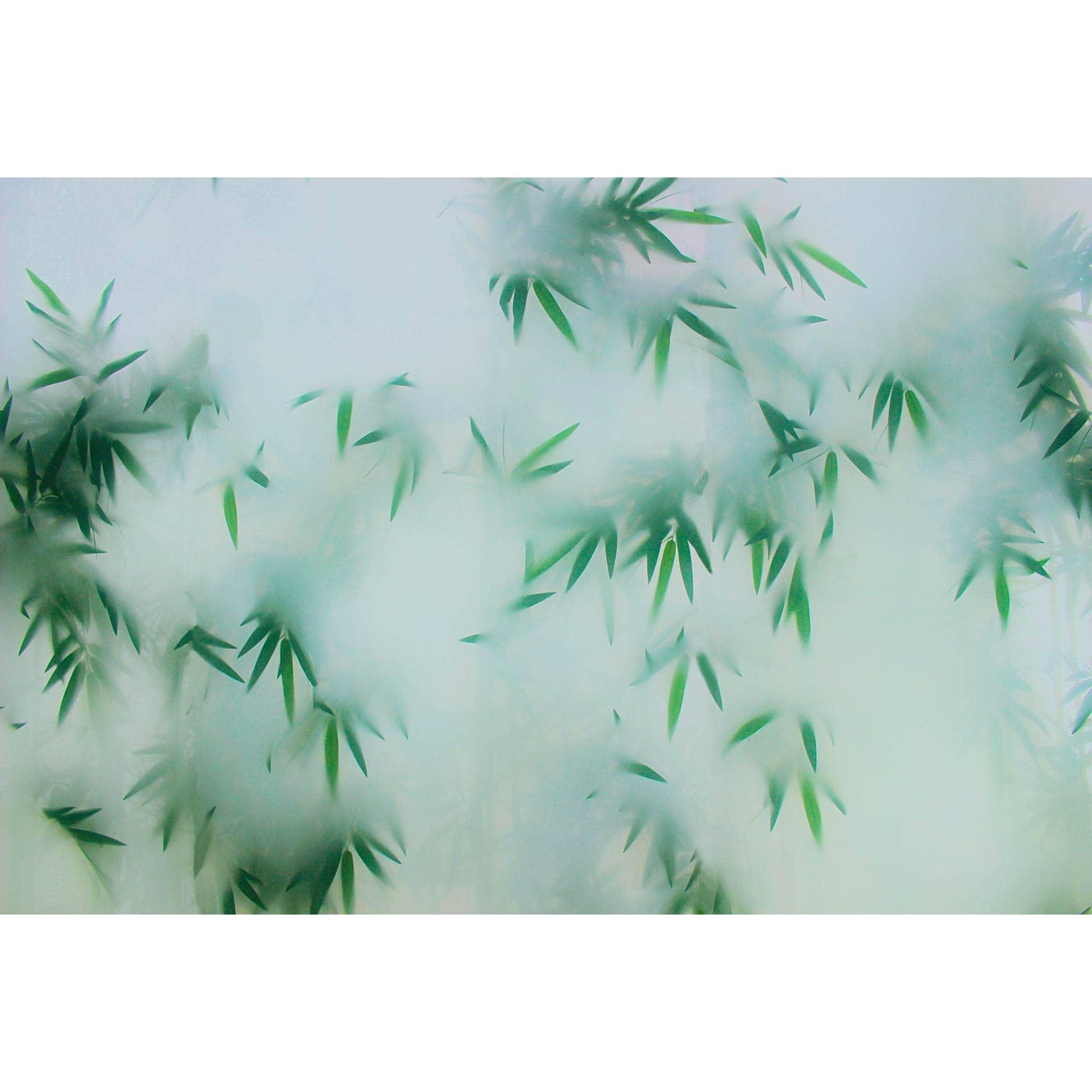Livingwalls Fotobehang Walls by Patel 3 Panda's Paradise