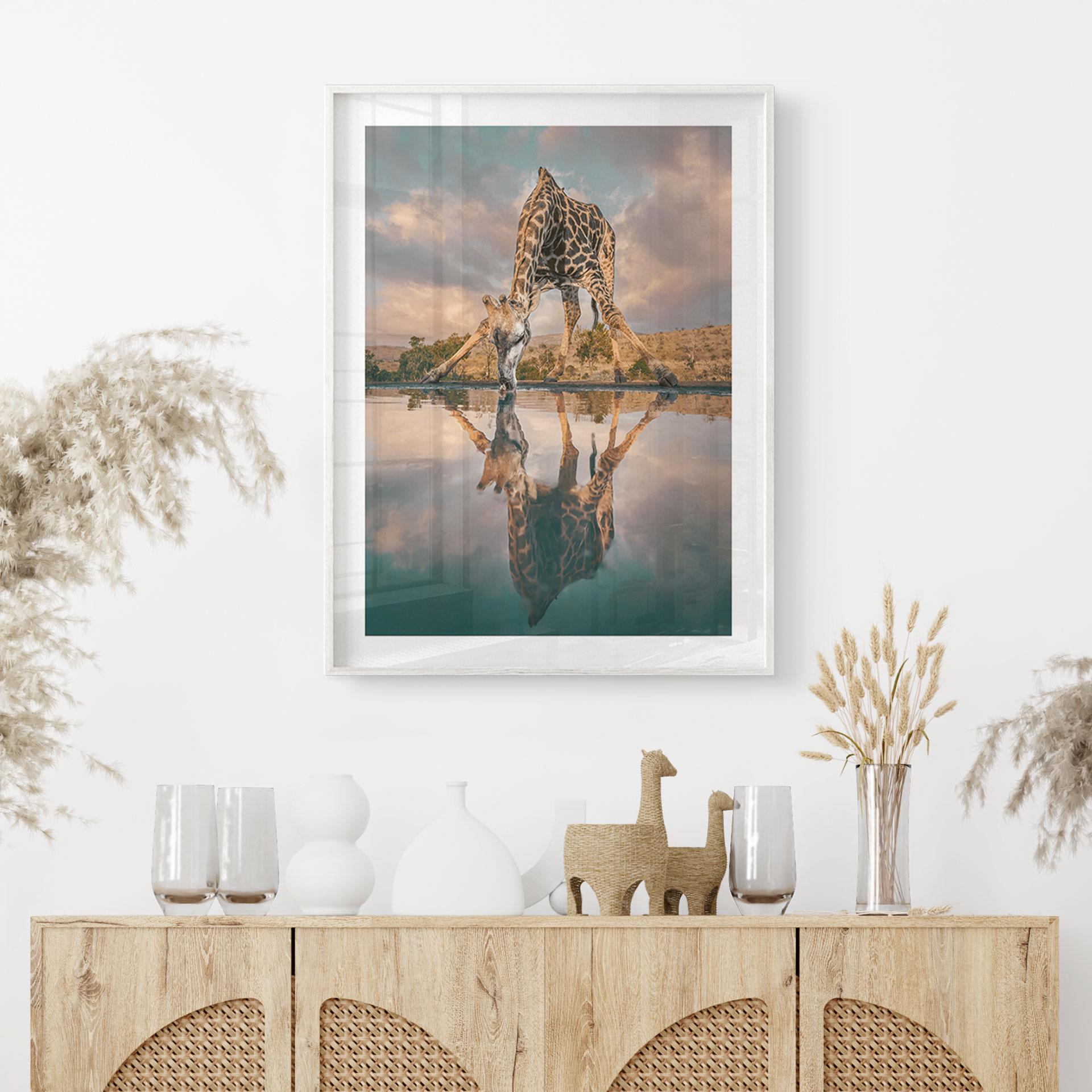 Safariplakat - Spejling af en giraf i naturen - Amtmann