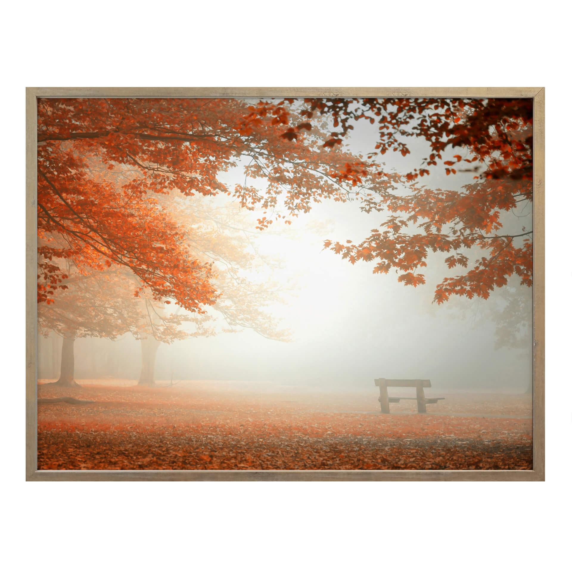 Póster Dingemans - Bosque en reposo