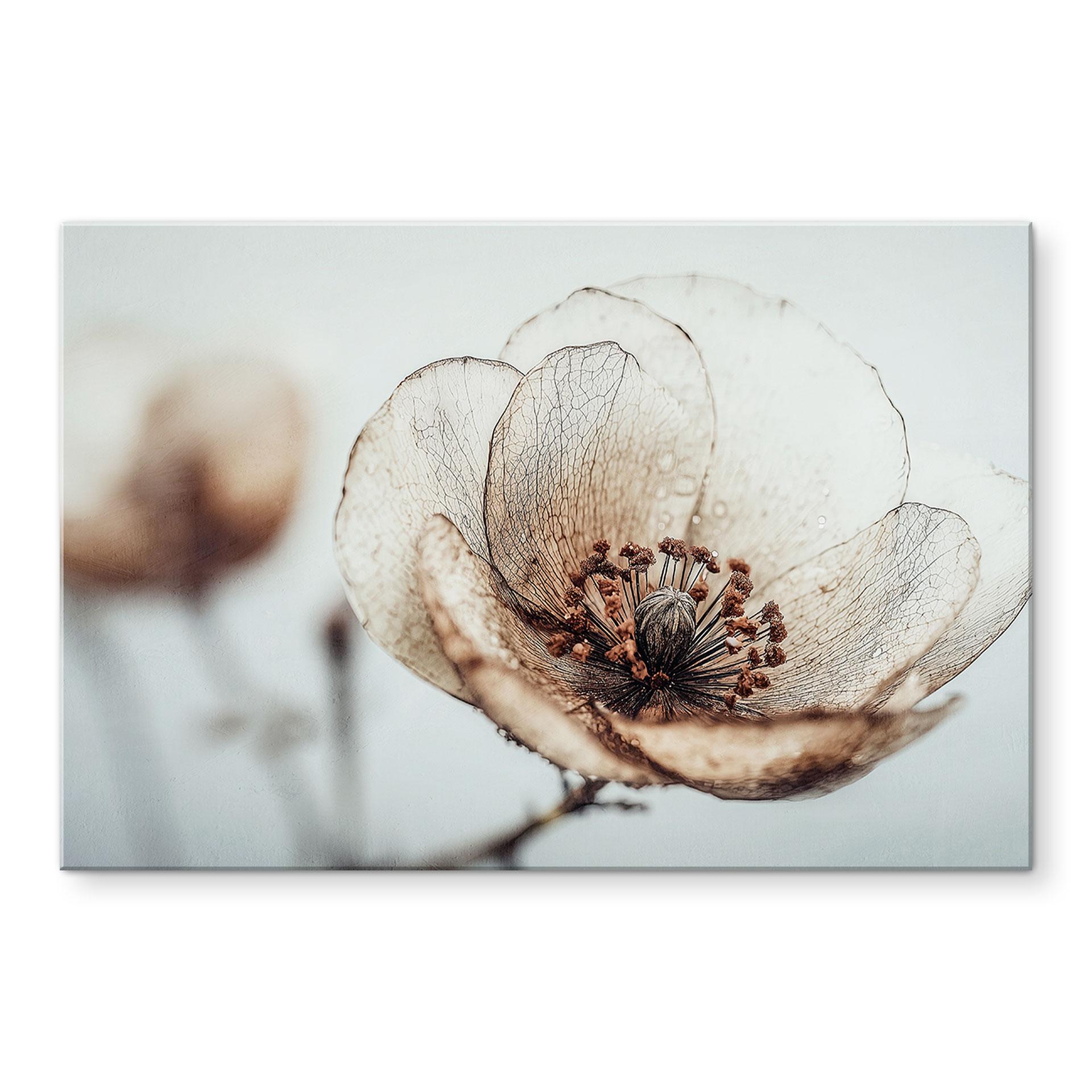 Stænkplade tørret blomst beige naturpoesi - Treechild