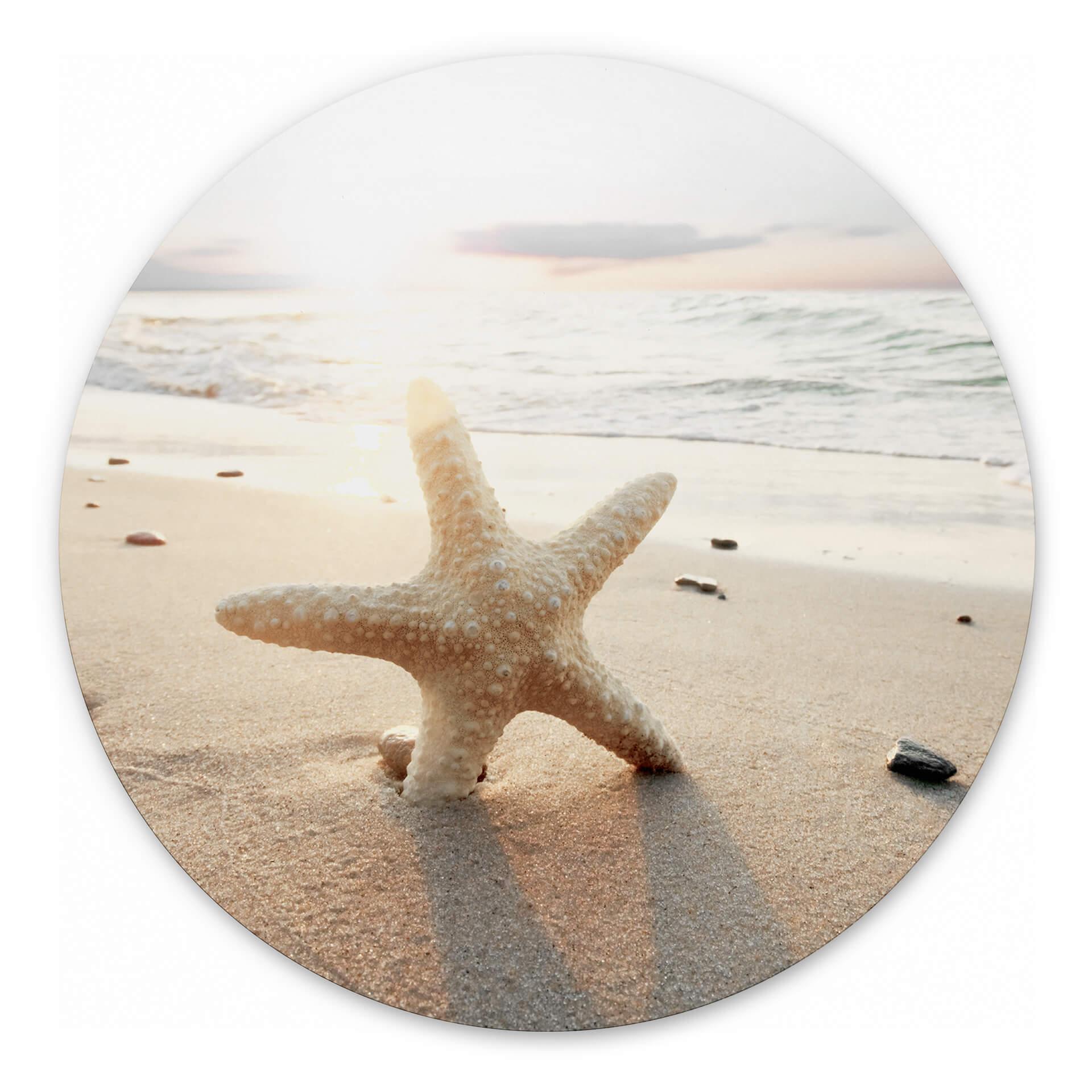 Tableau sur alu-Dibond rond Une étoile de mer étincelante sur une plage déserte