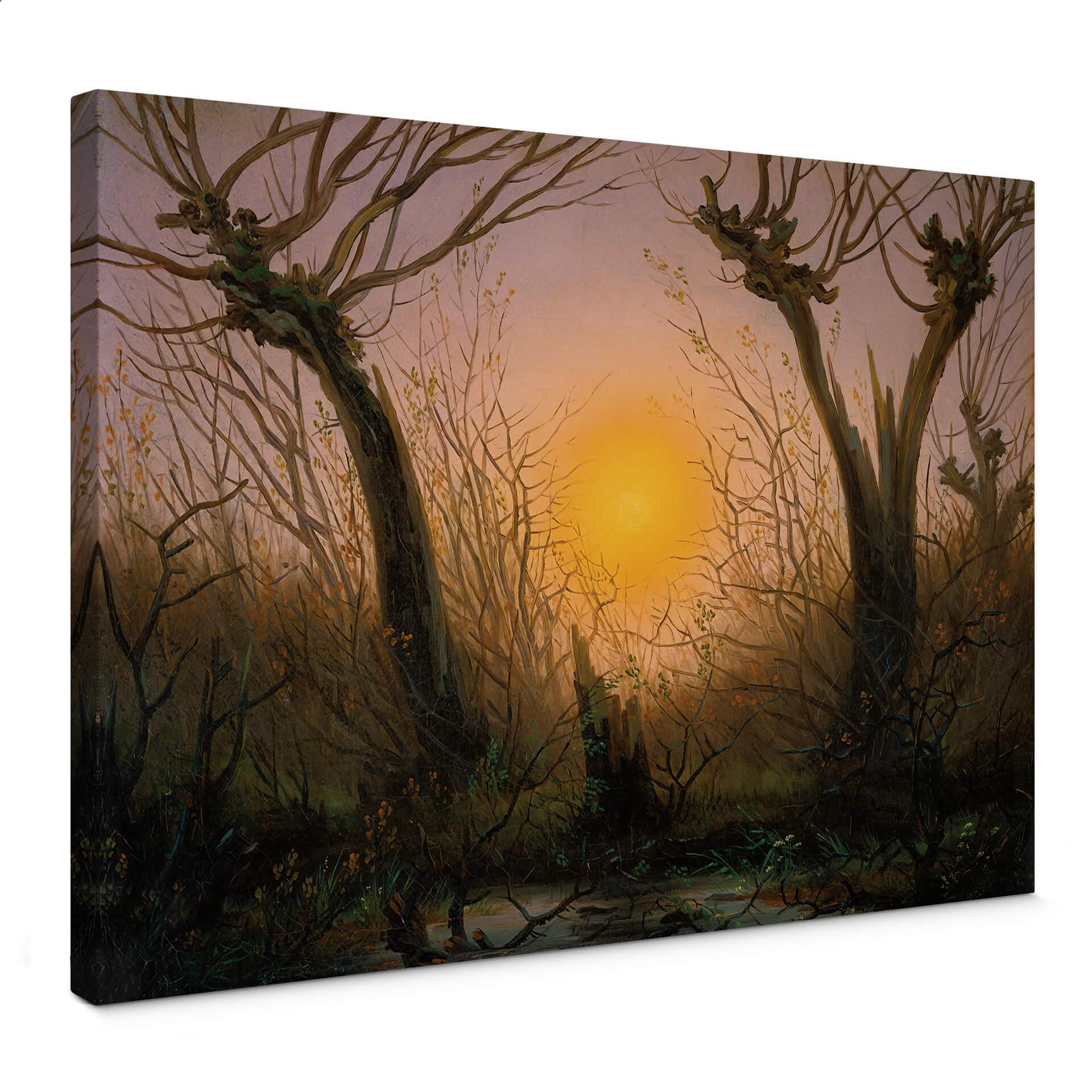 Lienzo Friedrich - Paisaje forestal con sol bajo
