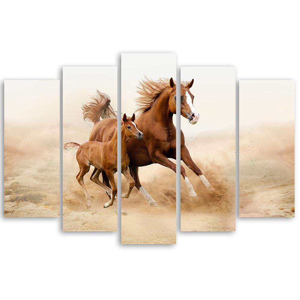 Lærredstryk 5 stykker, Bay Horse Galop Nature