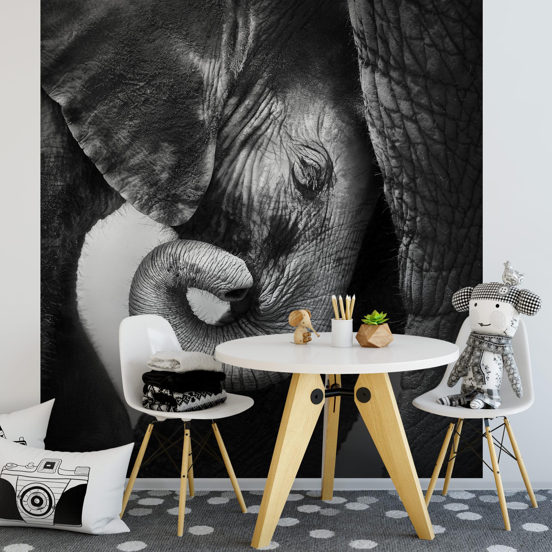 Fototapet Babyelefant - 240x260 cm