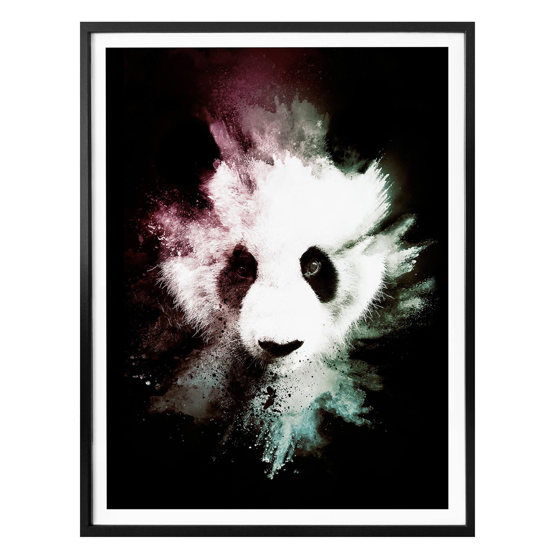 Poster Hugonnard - Vild explosion: Panda