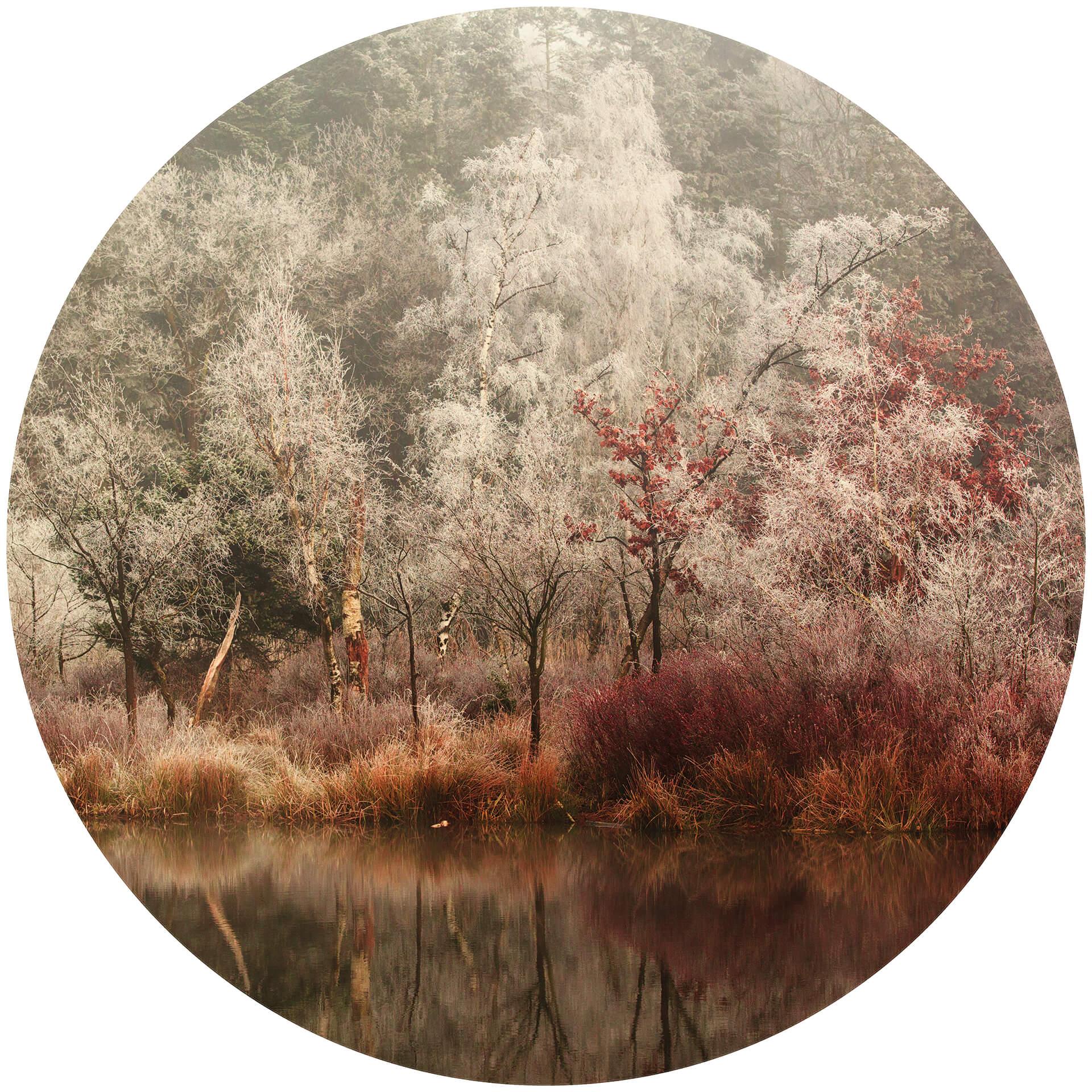 Behangcirkel van Dongen - Frosted Forest - vliesbehang/zelfklevend vliesbehang