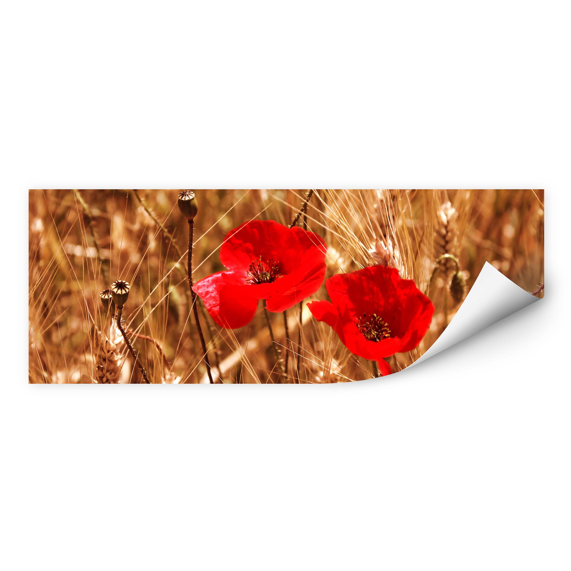 Wallprint Mohnblüten im Feld - Panorama