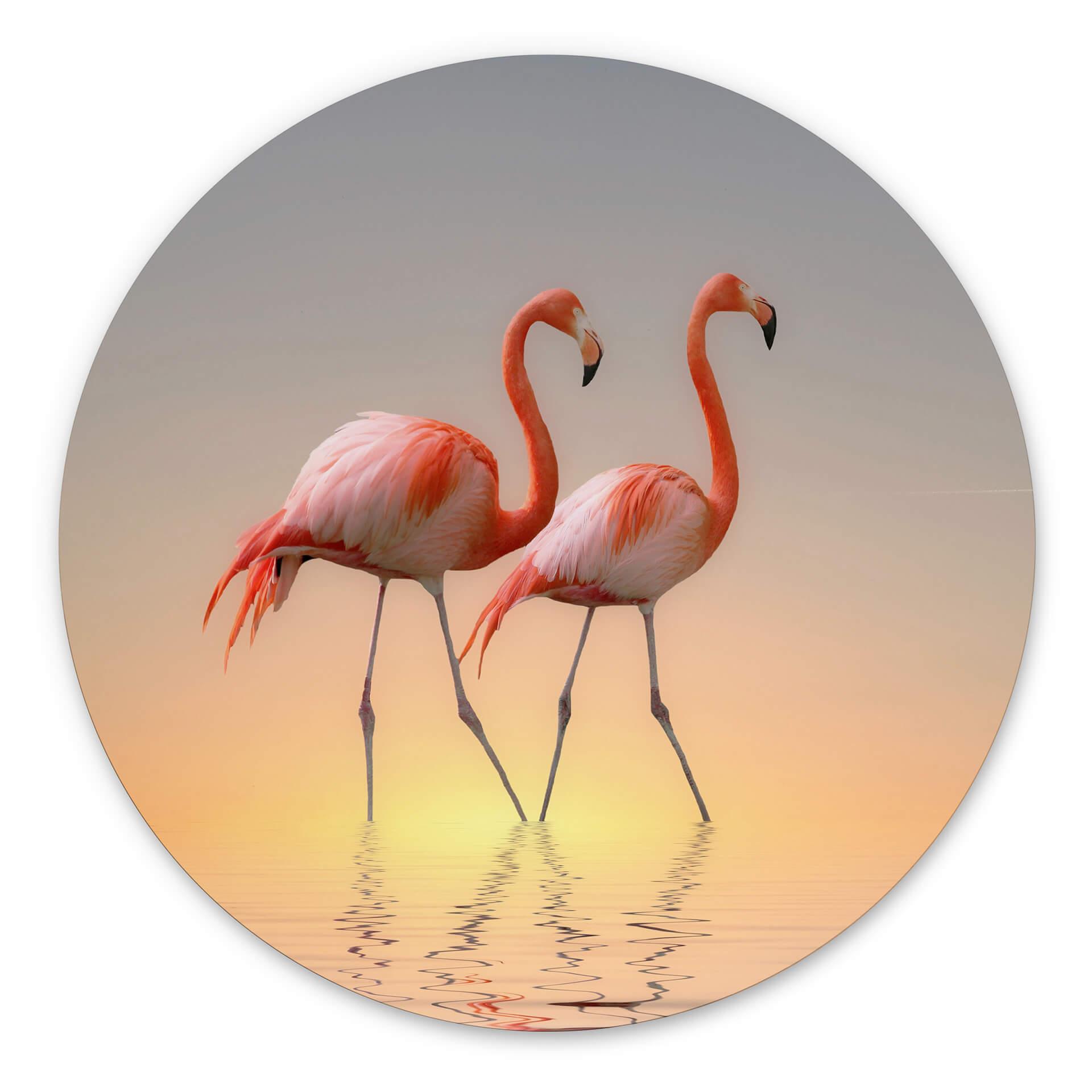 Tableau sur alu-Dibond rond Csresnjes - Flamants roses au crépuscule