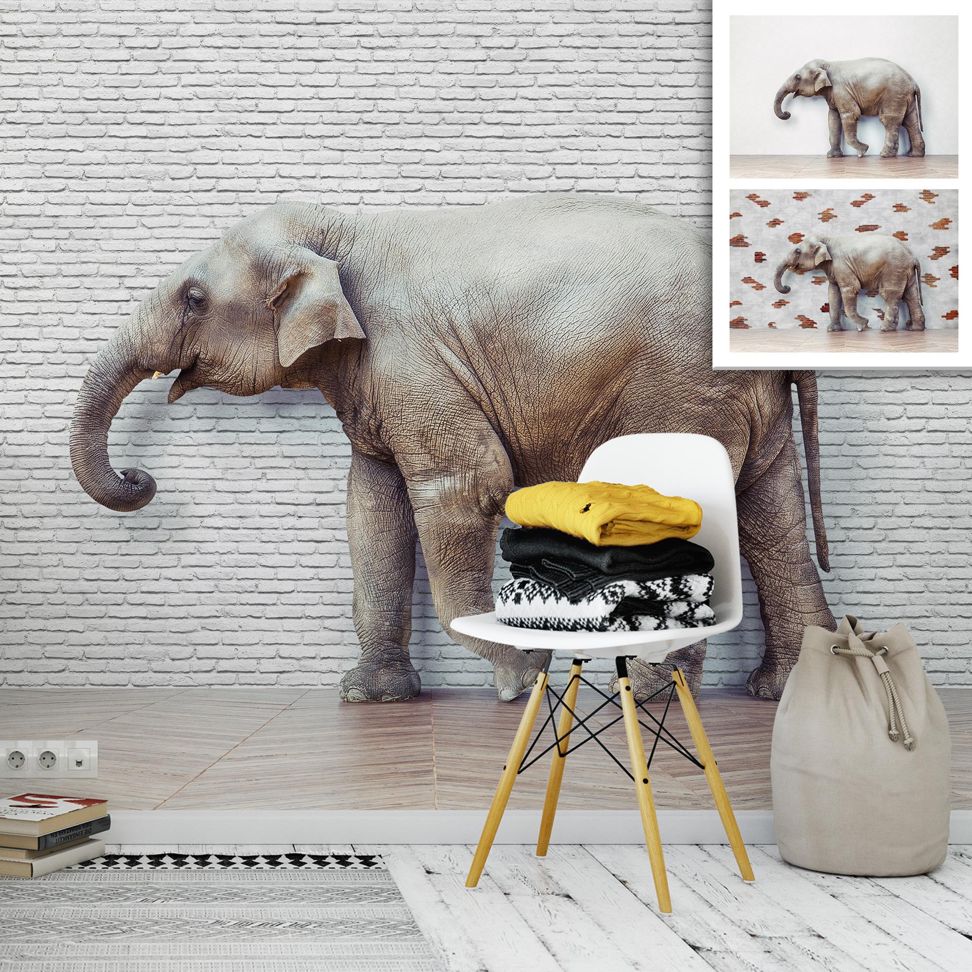 Fototapet - The Walking Elephant