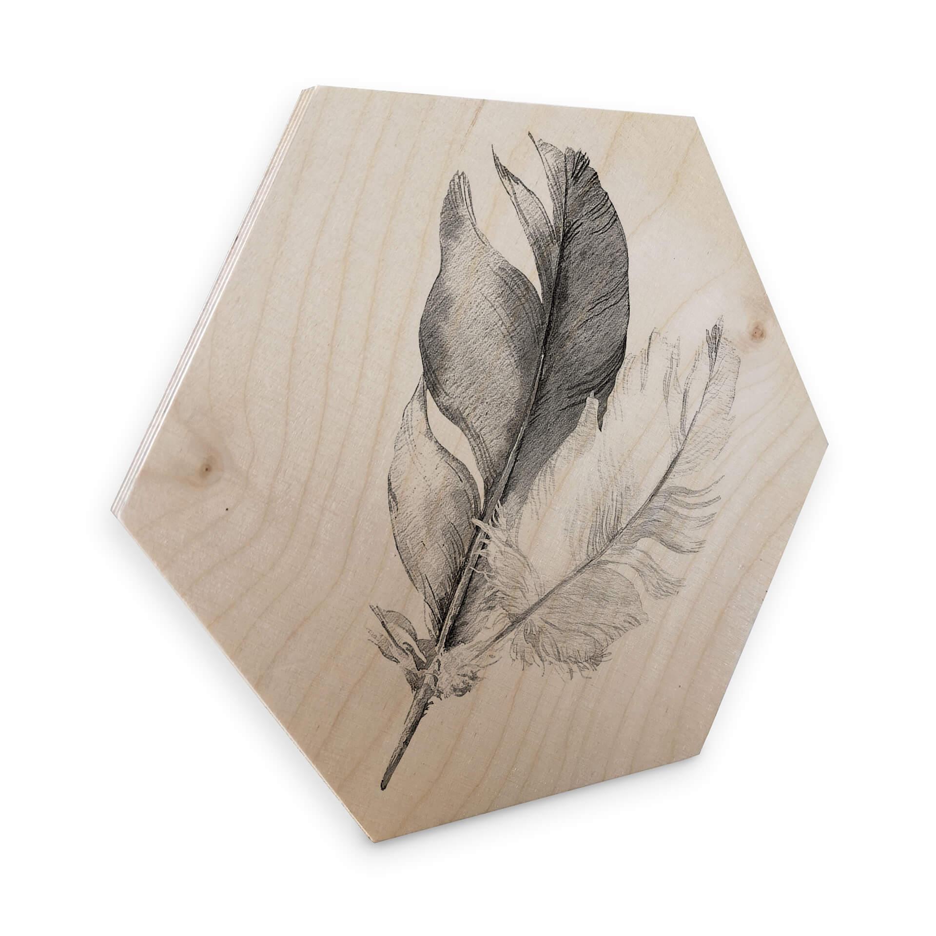 Hexagon Hout - Feathers