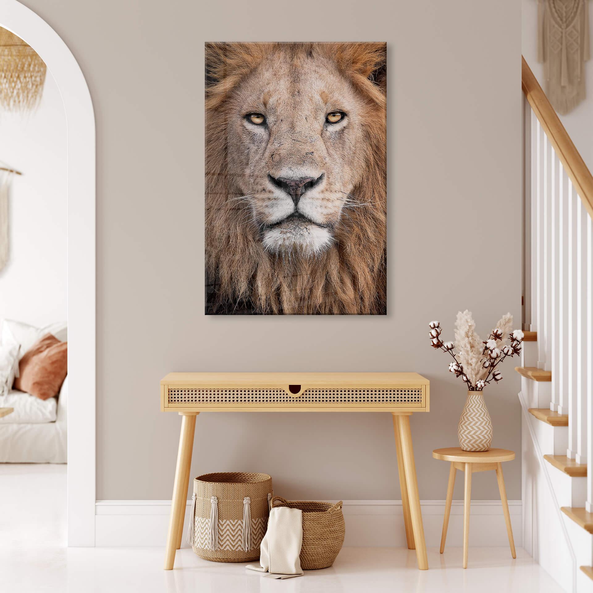 Acrylglasbild van Duijn - Löwenblick