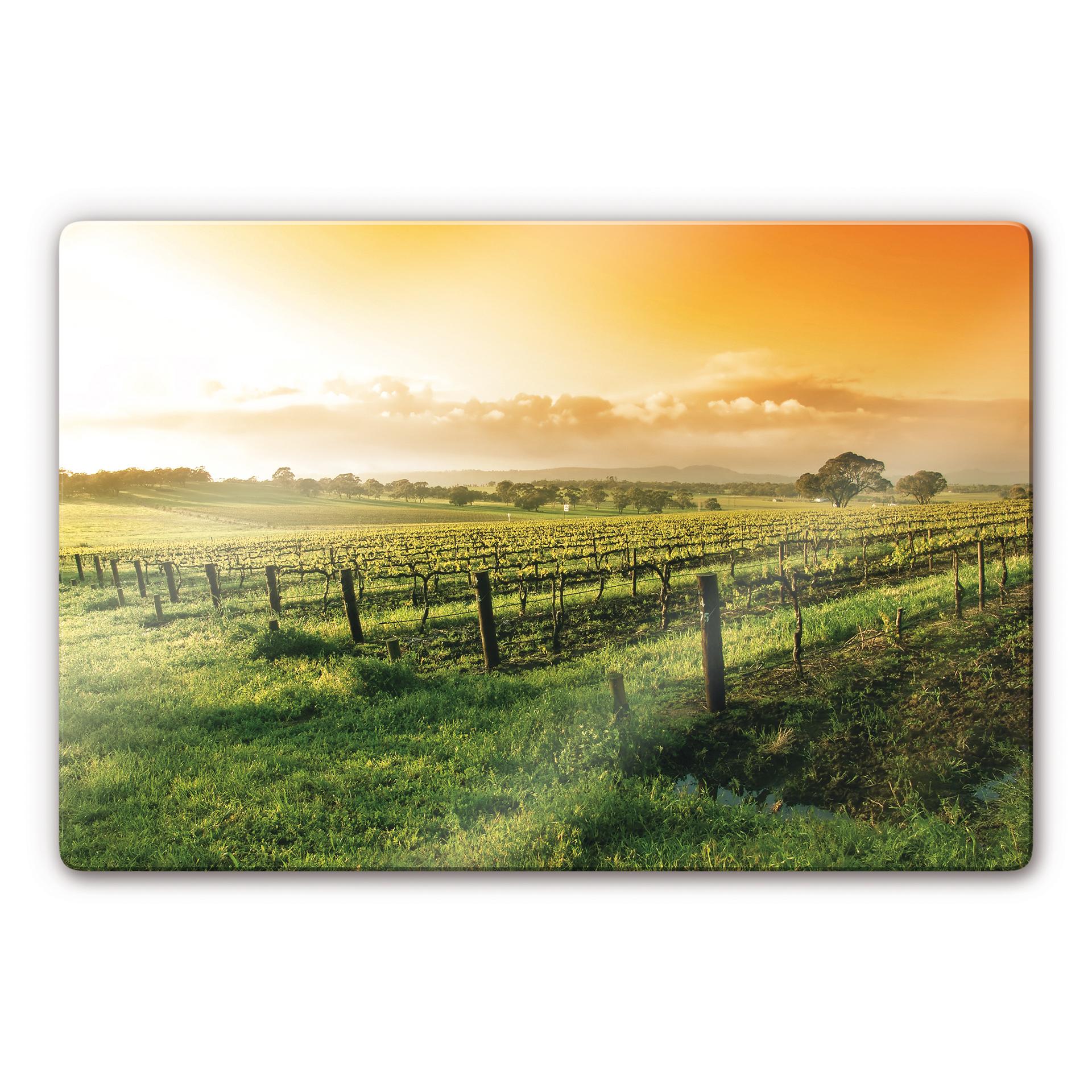 Tableau en verre - Vignes sous le coucher de soleil