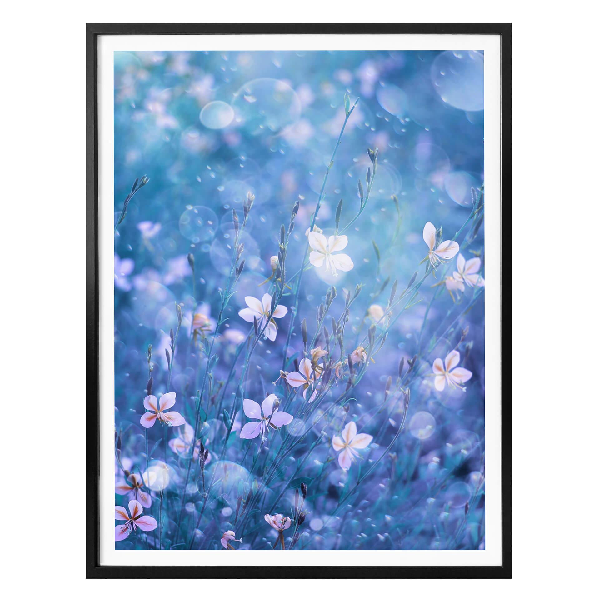 Plakat - Devos - Blomstermagi