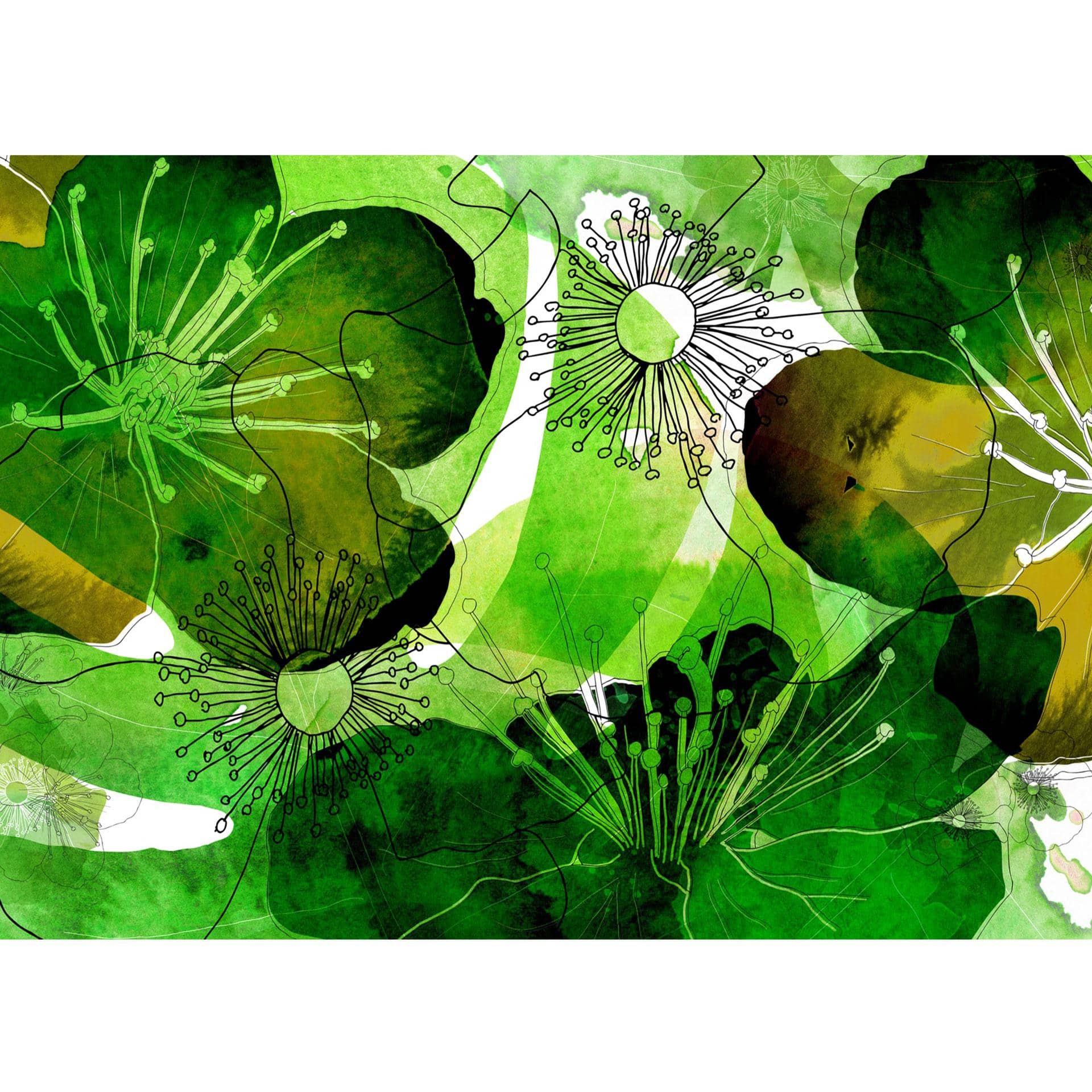 Fotobehang Vliesbehang Aquarel