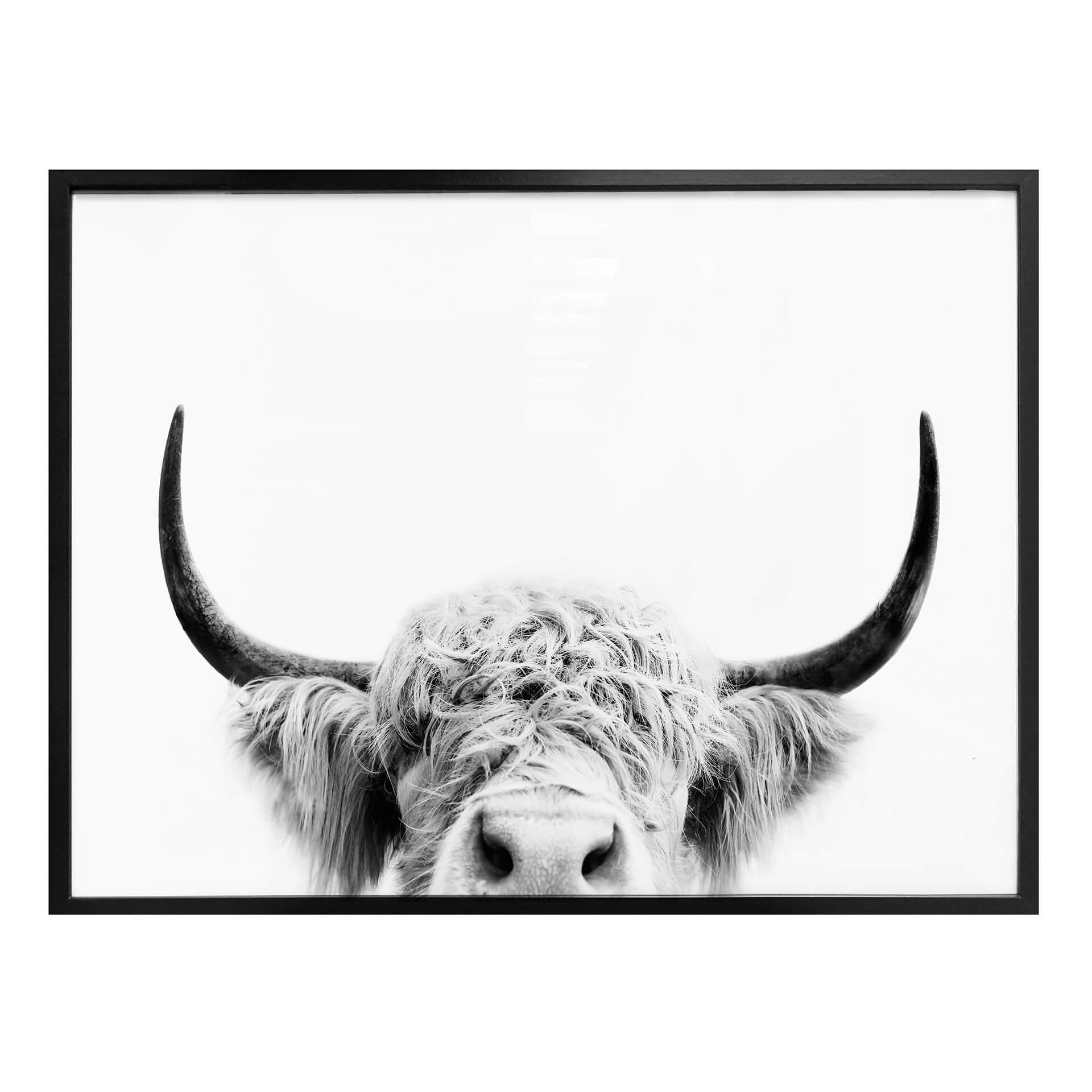 Plakat - Sisi & Seb - Bull