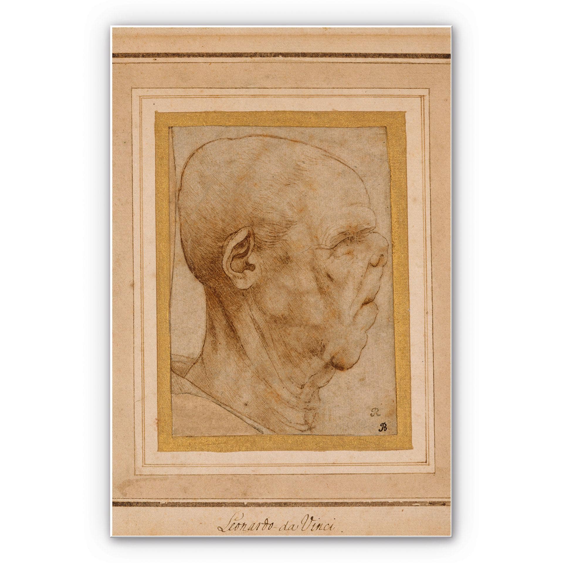 Tableau Forex - De Vinci - Caricature d'une tête d'homme