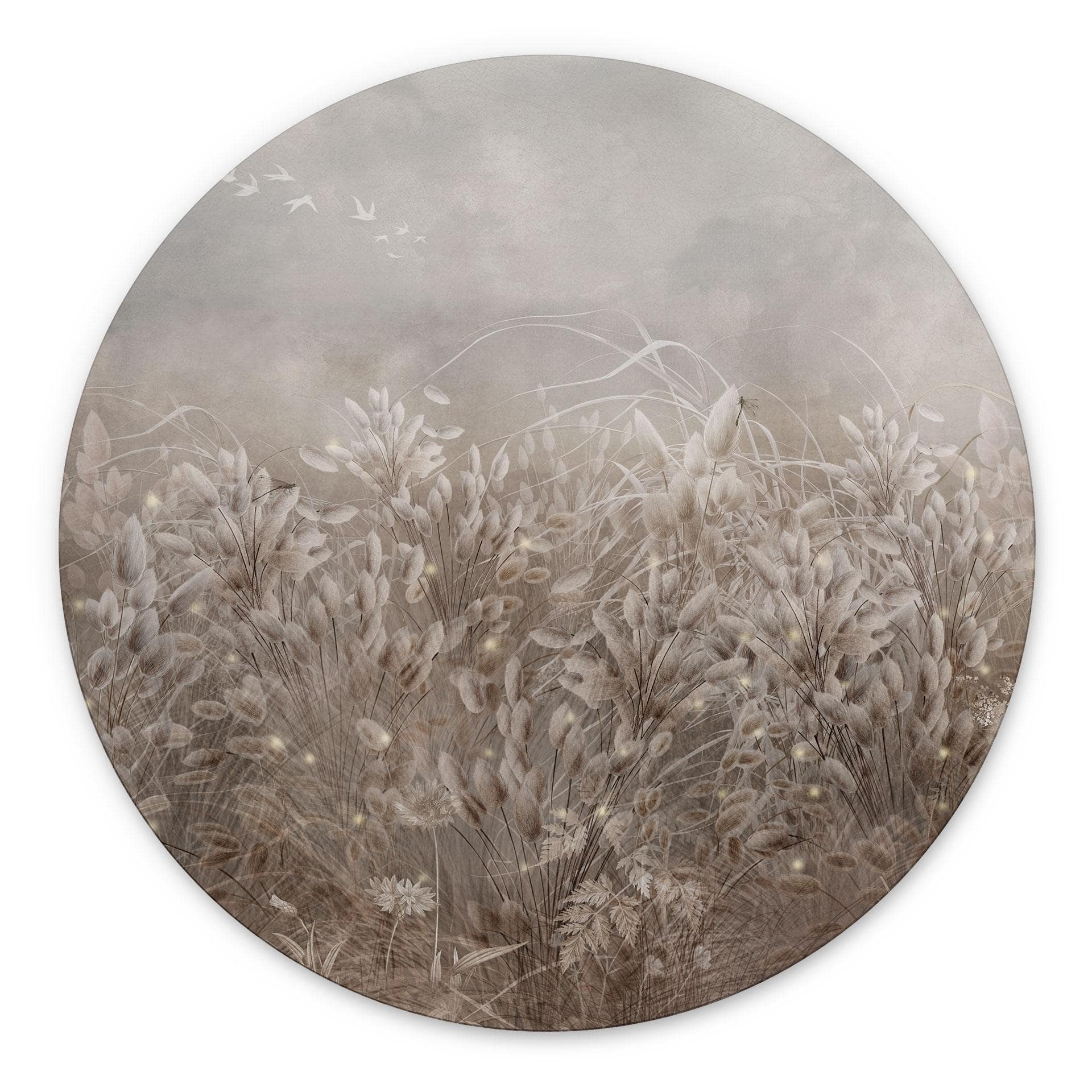 Wanddecoratie Pampasgras en grassen in beige - Ms Tiff - Alu-Dibond Rond