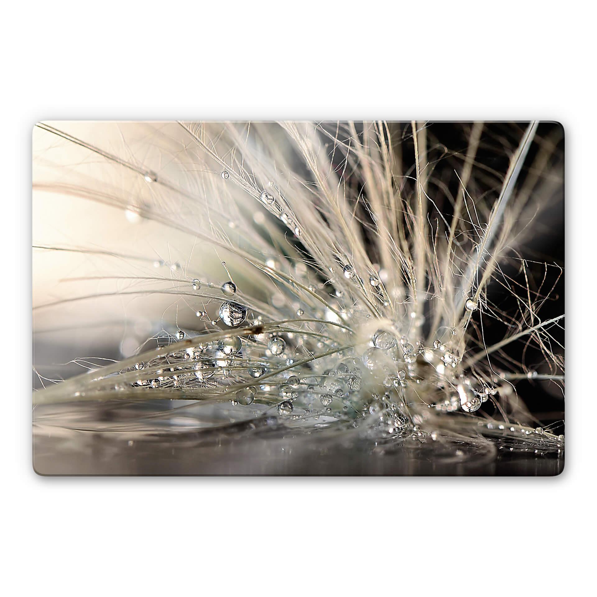 Glasbild Zahirimehr - Story of a Waterdrop - Wasse