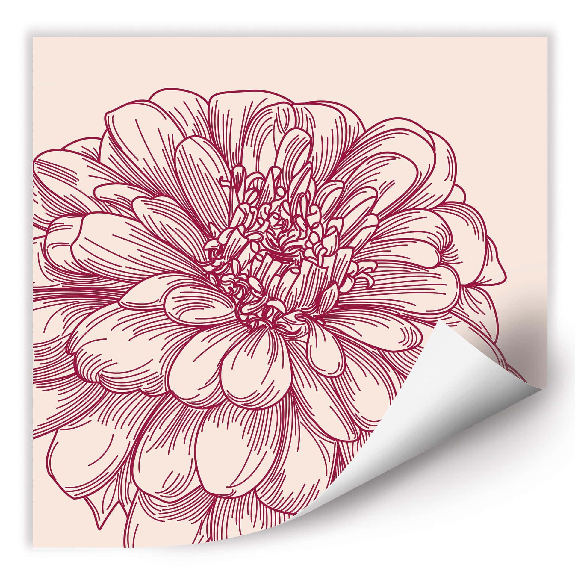 Zelfklevende Poster - Flower Illustratio