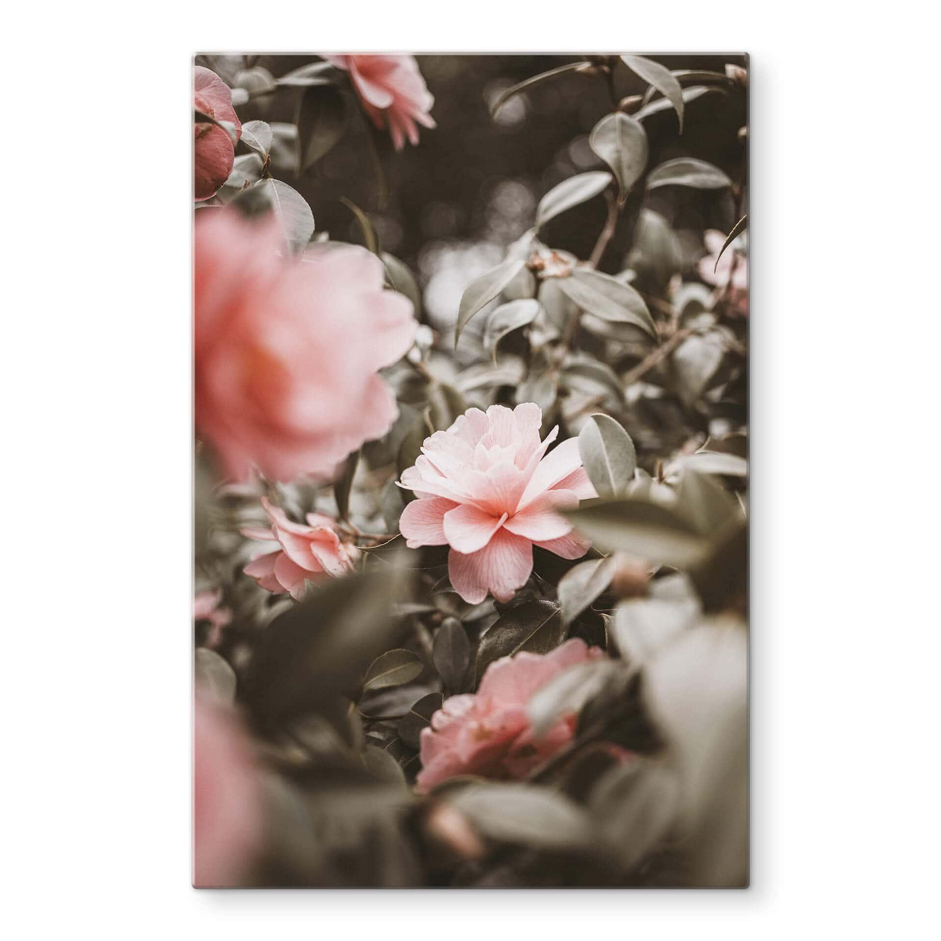 Tableau sur verre Annie - Roses