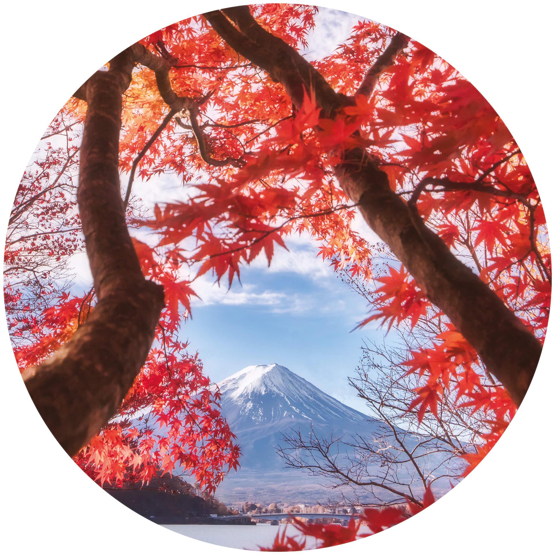 Behangcirkel Samejima - Leaves at Mount Fuji - vliesbehang/zelfklevend vliesbehang