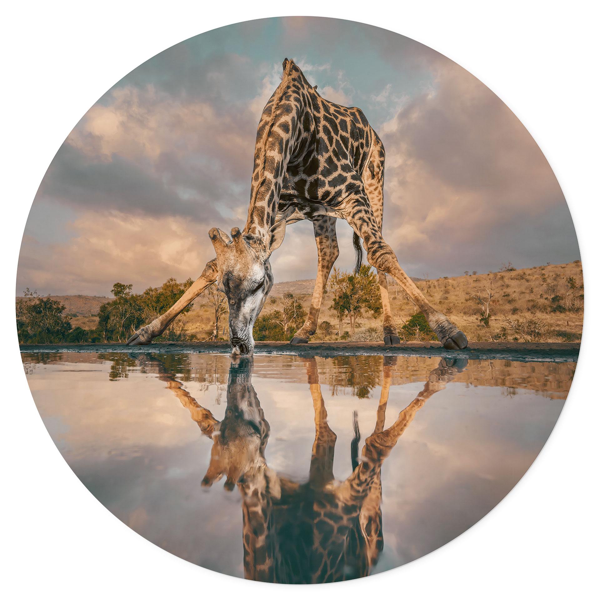 Wandtattoo Reflexion einer Giraffe in der Wildnis - Amtmann - Rund