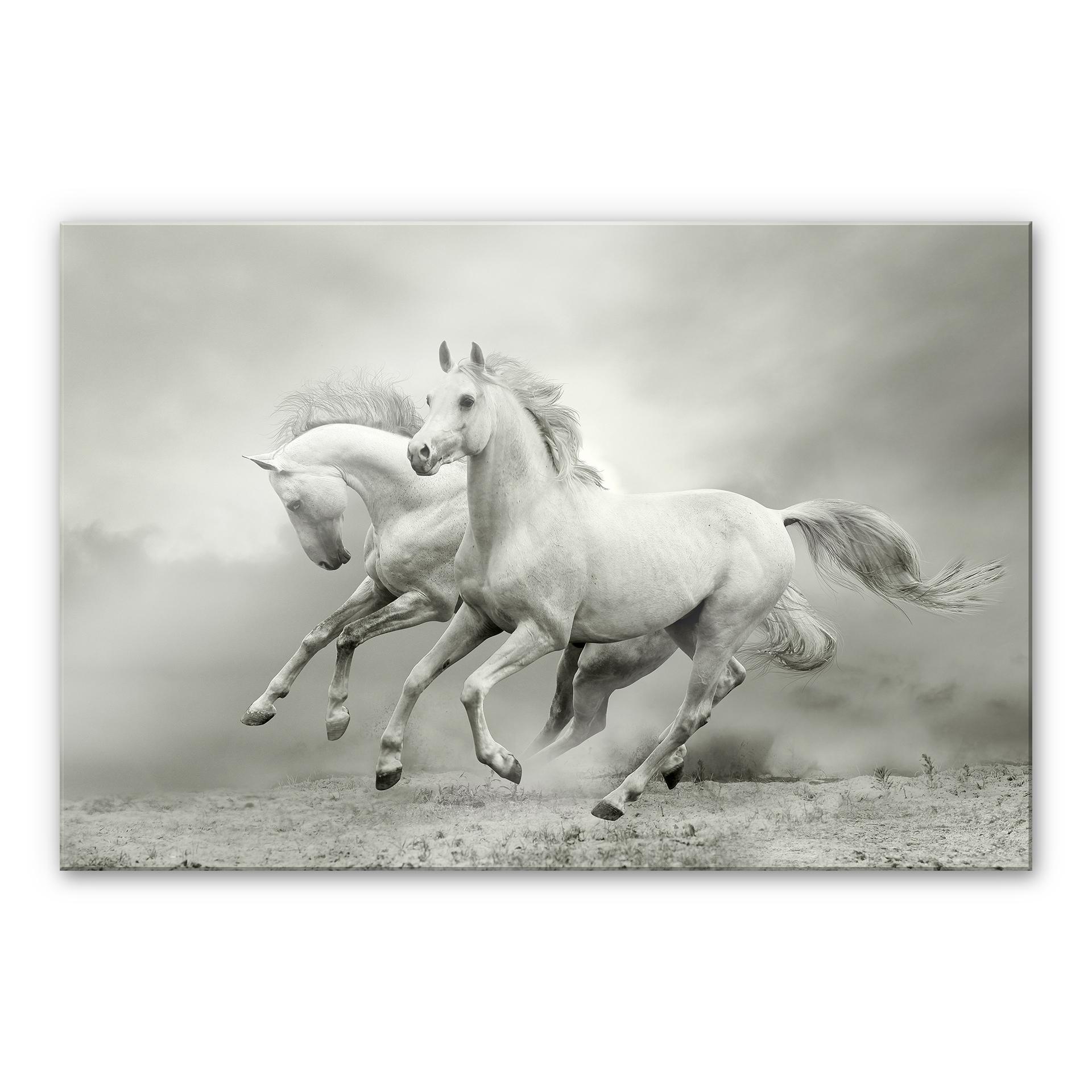 XXL Billede Heste i galop