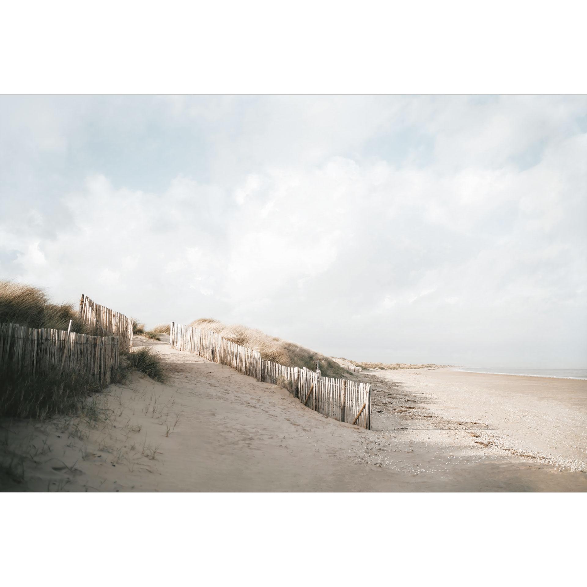 Fotobehang Kust - Duinlandschap aan de Noordzee - Annie