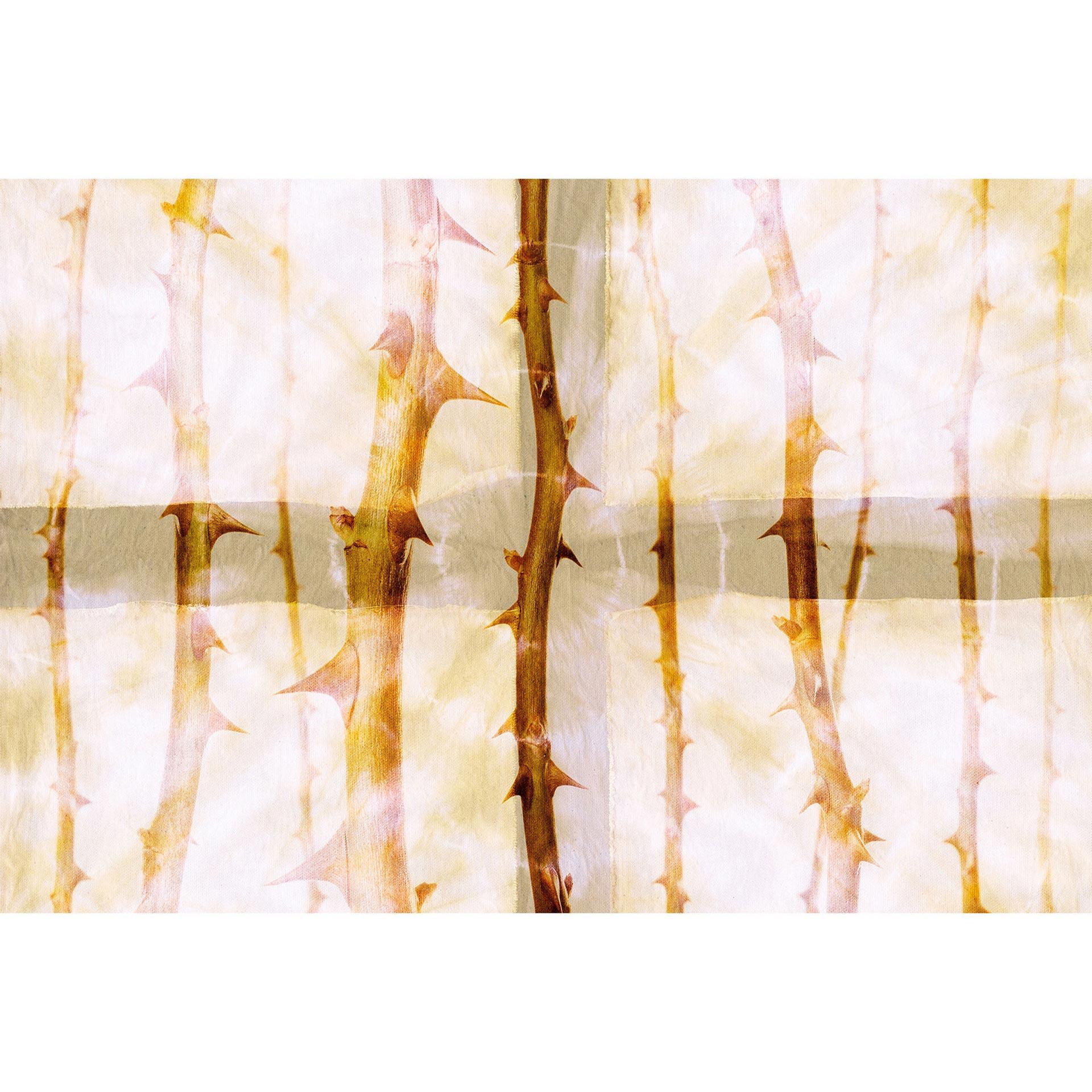 Architects Paper Fotobehang Atelier 47 Thorn Art