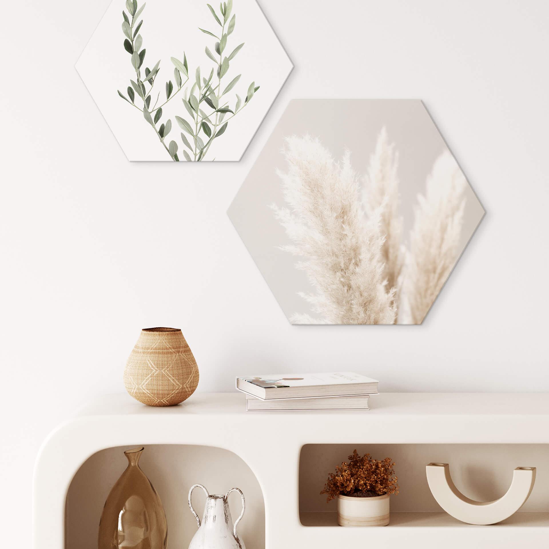 Hexagon Dibond 1X Studio - Pampas