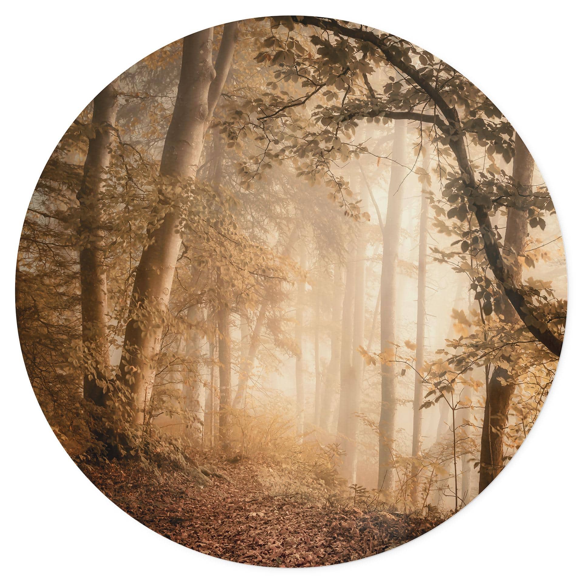 Vinilo decorativo Bosque en la bruma matinal - Maier - Redondo