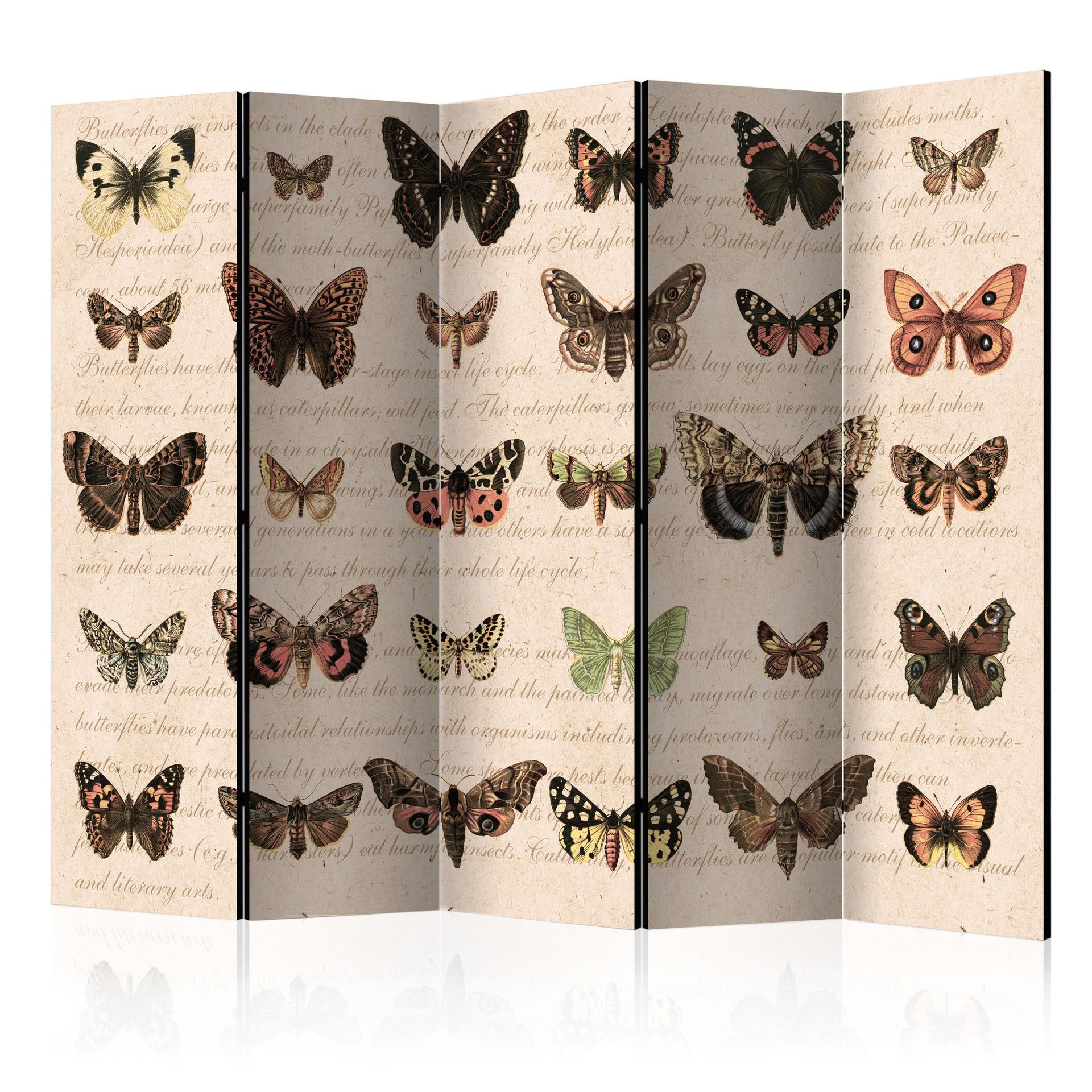 Divisorio per sala - Stile retrò - Farfalle, 3 pezzi