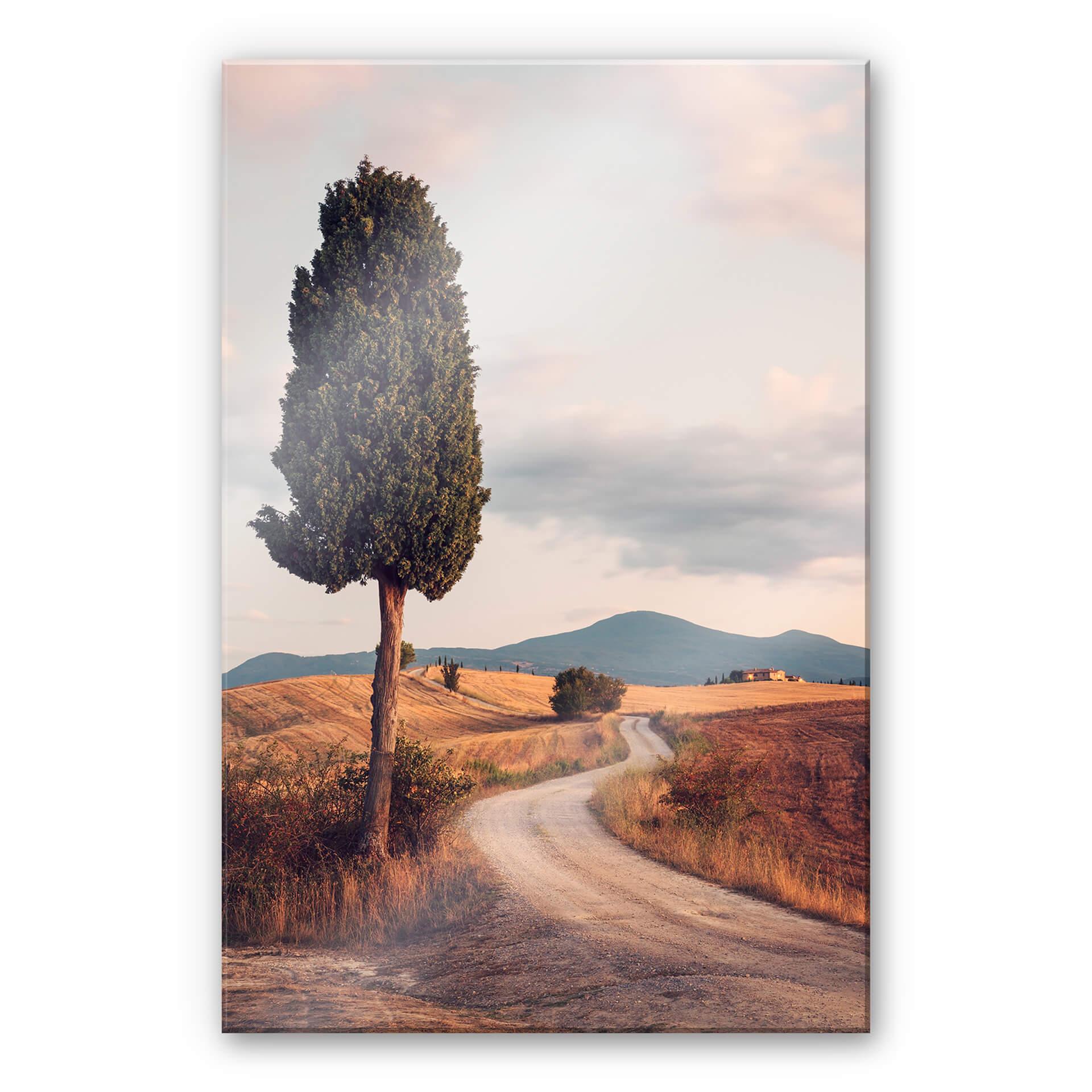 Akrylbillede Colombo - Cypress path
