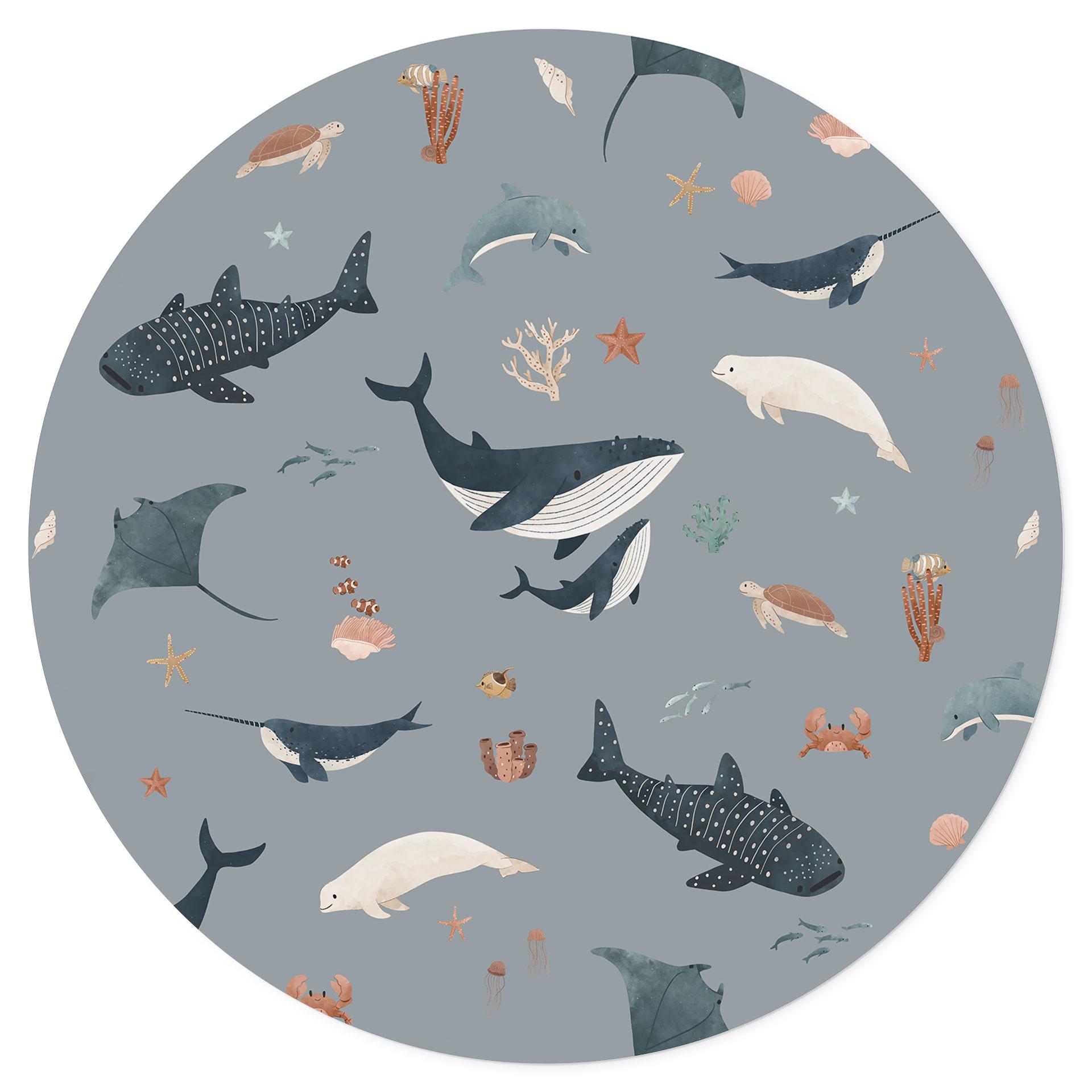 Wandtattoo Maritime Unterwasserwelt - Wale und Meerestiere - Kikki Belle - Rund